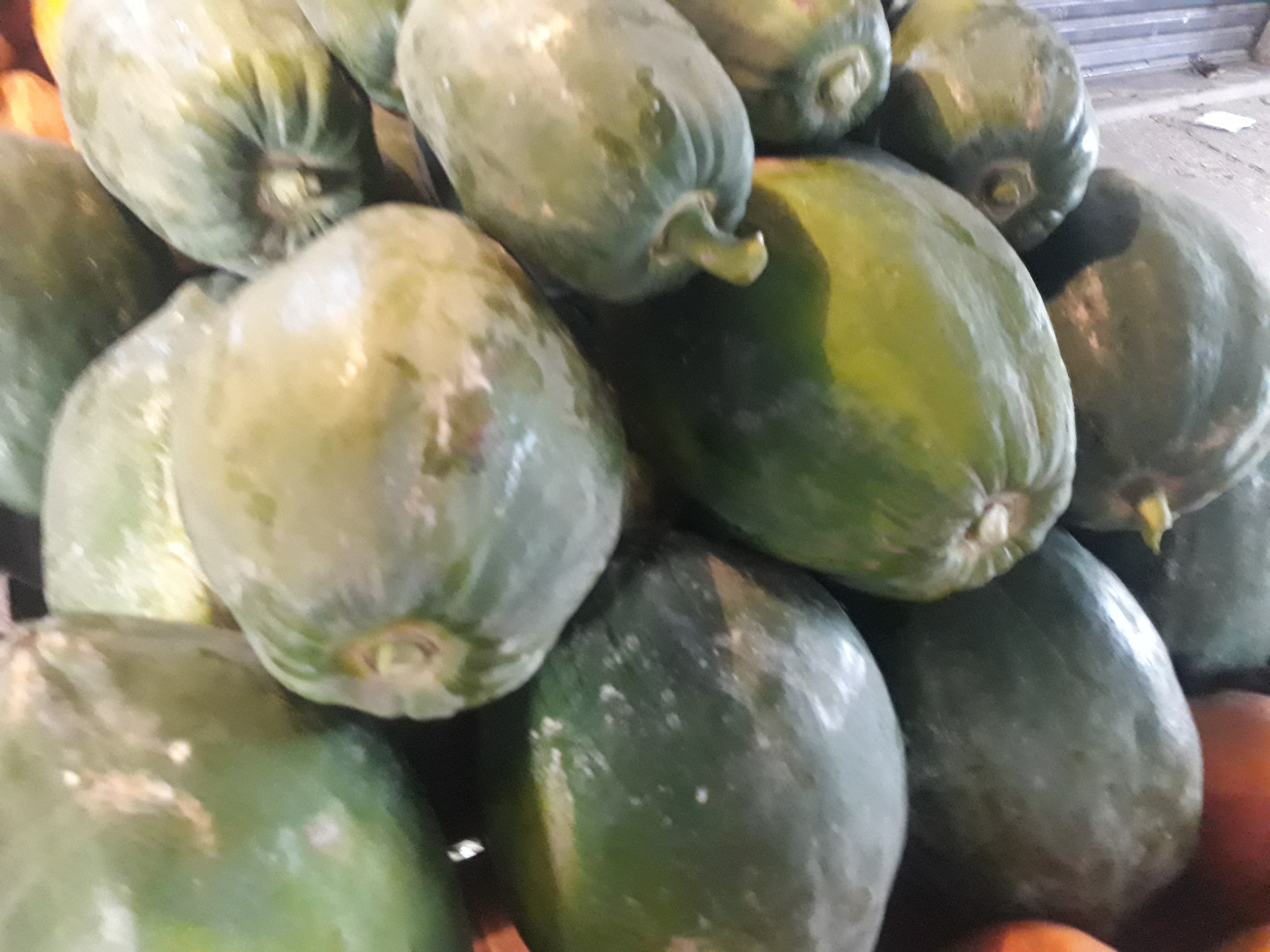 Papaya biche