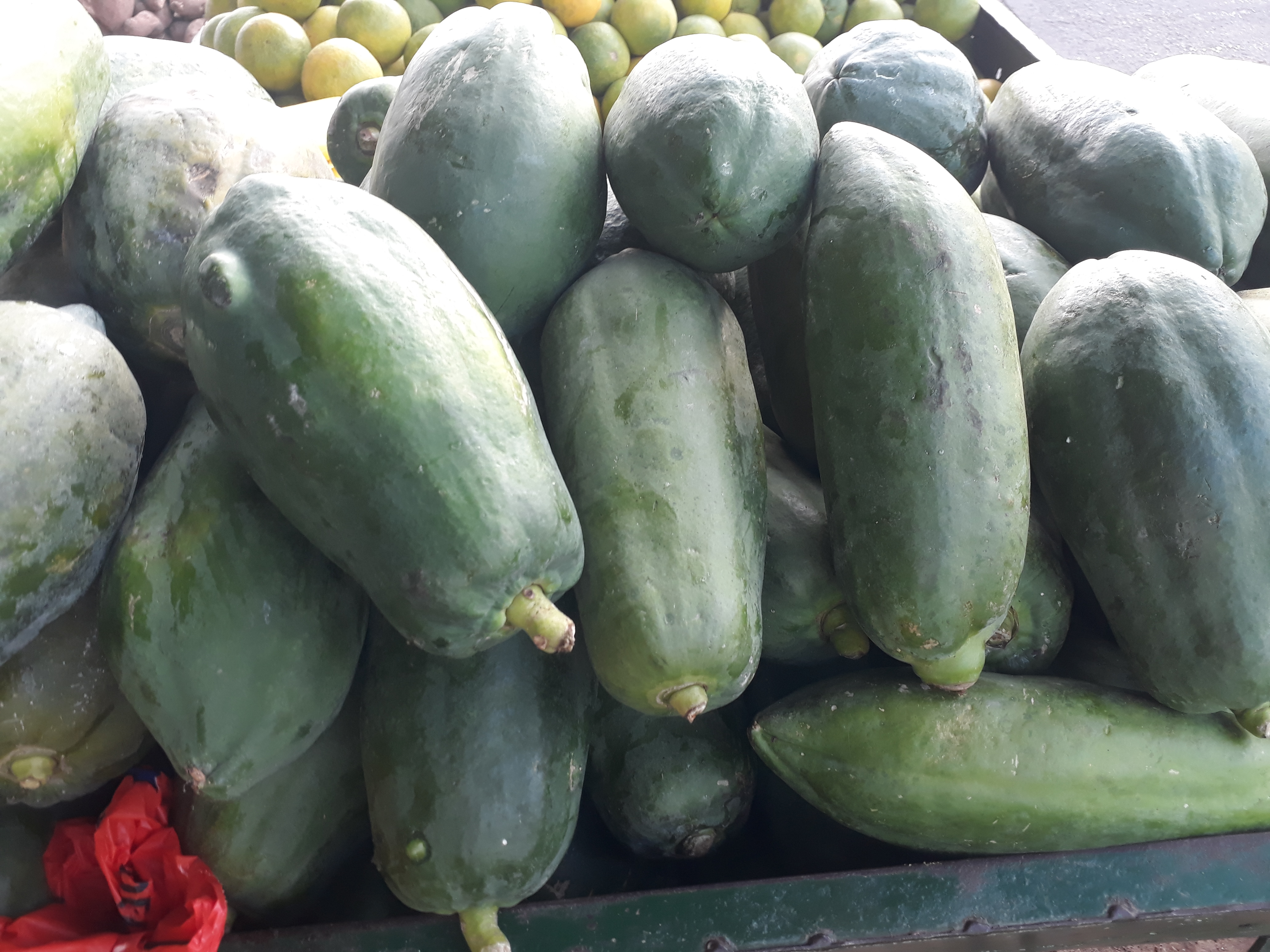 Papaya biche