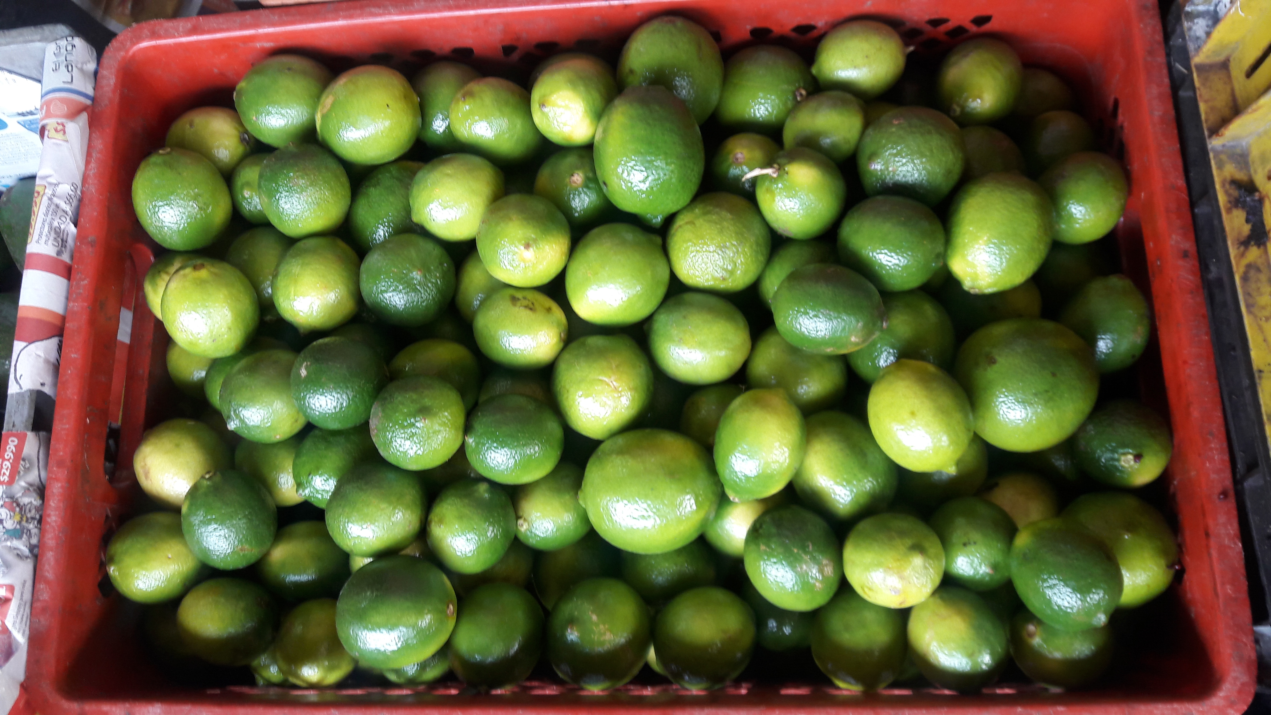 Limon Taiti primera y segunda
