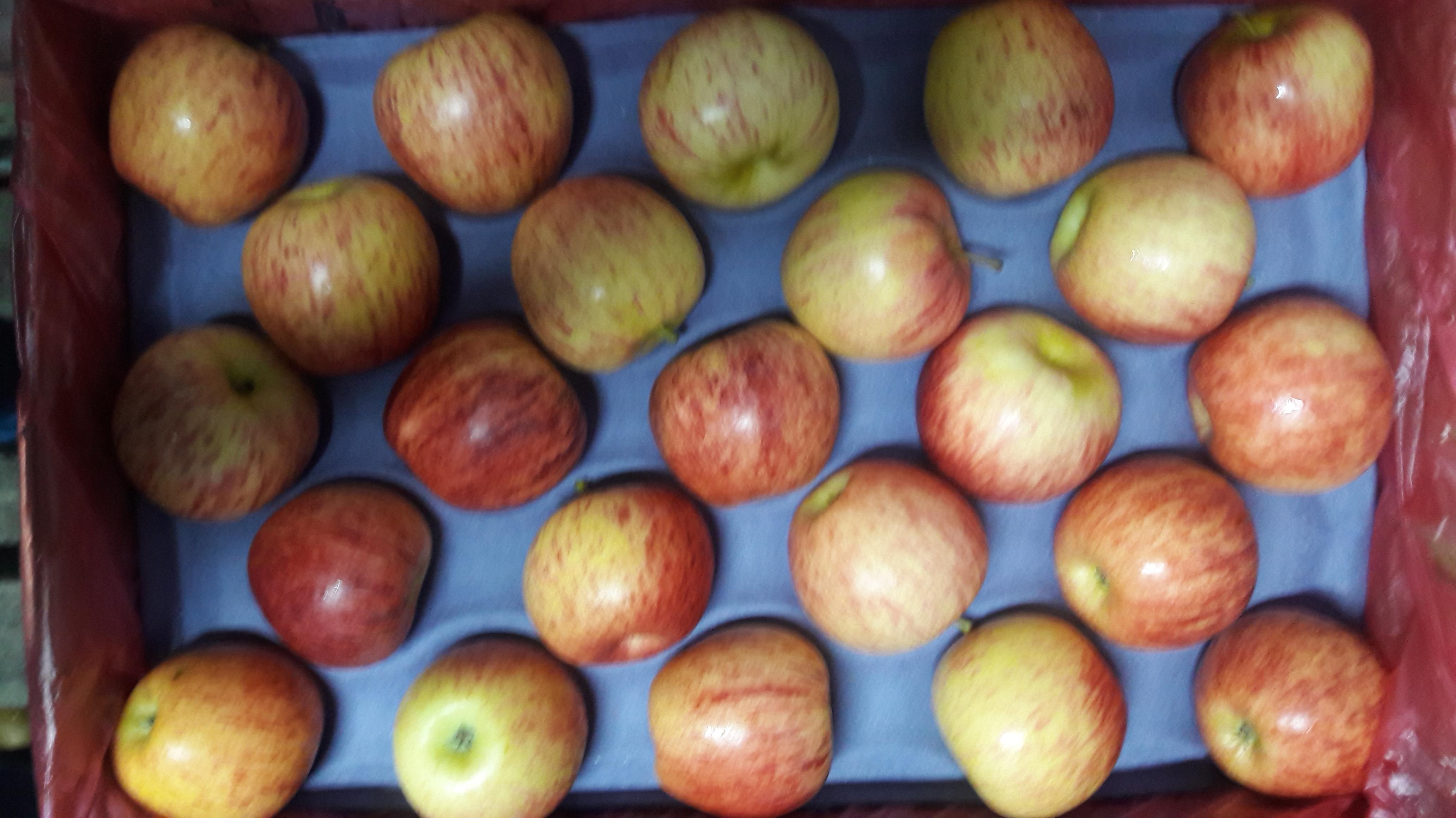 Manzana Royal Gala