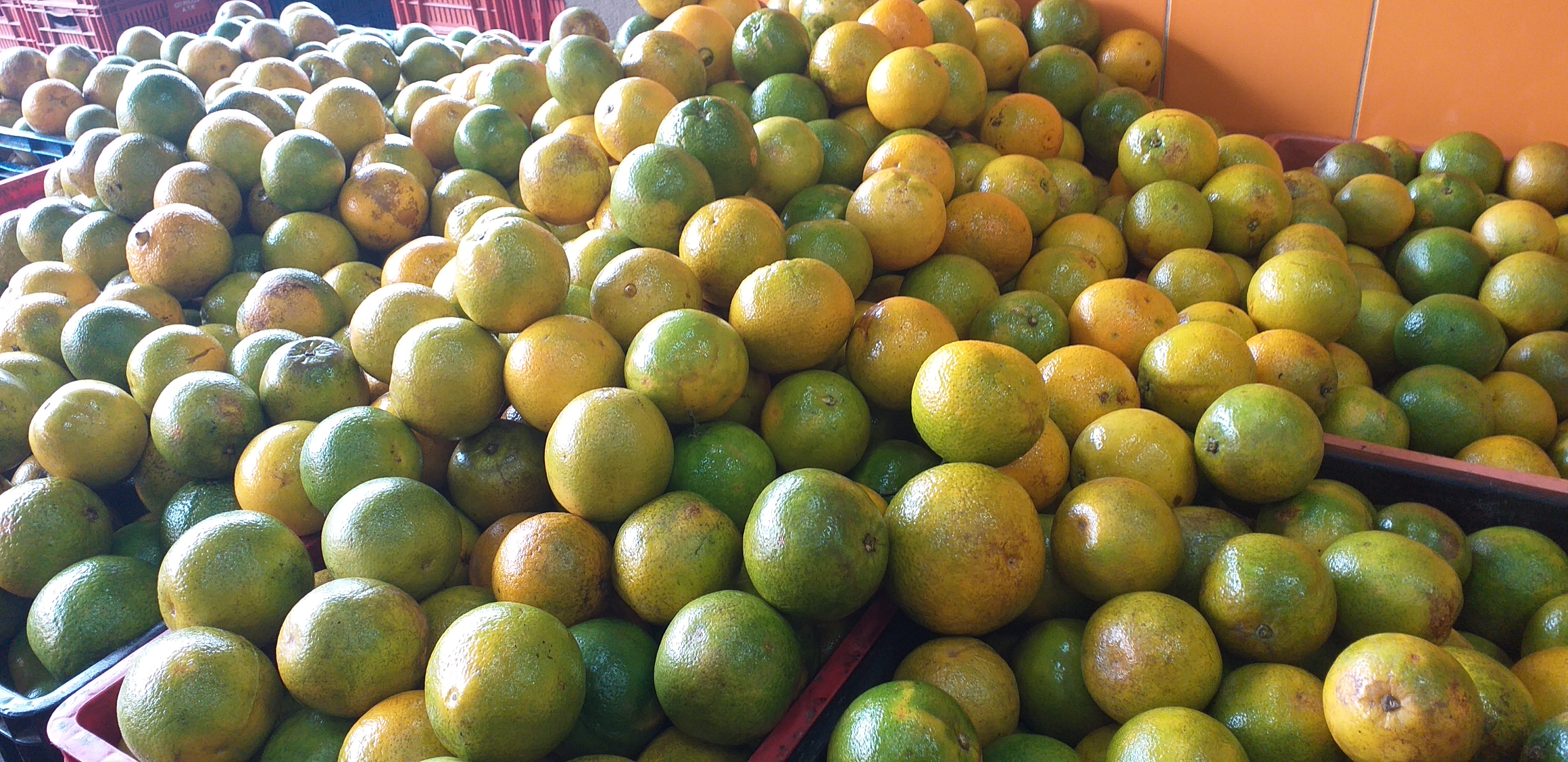 Naranja valencia