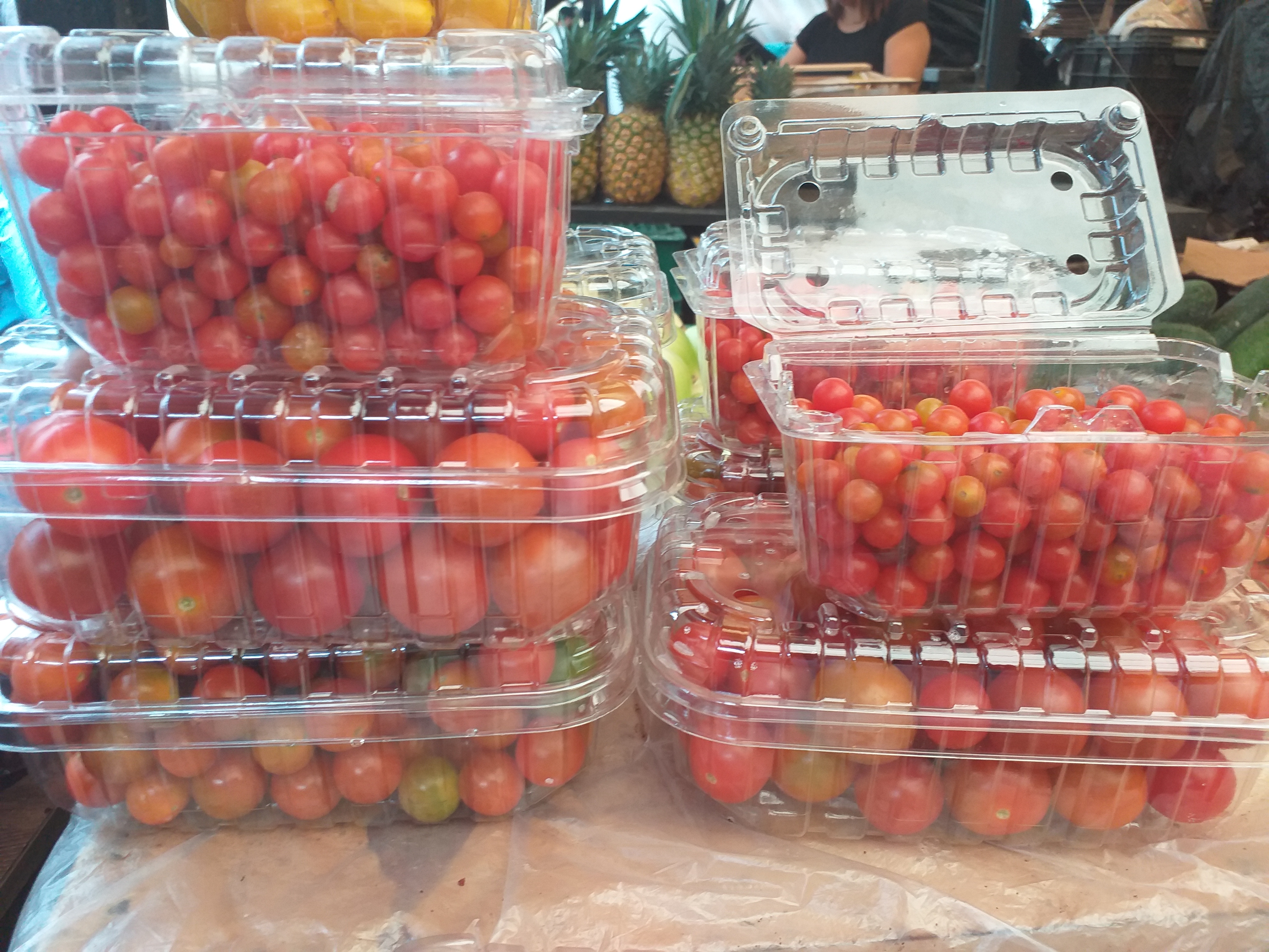 Tomate perla