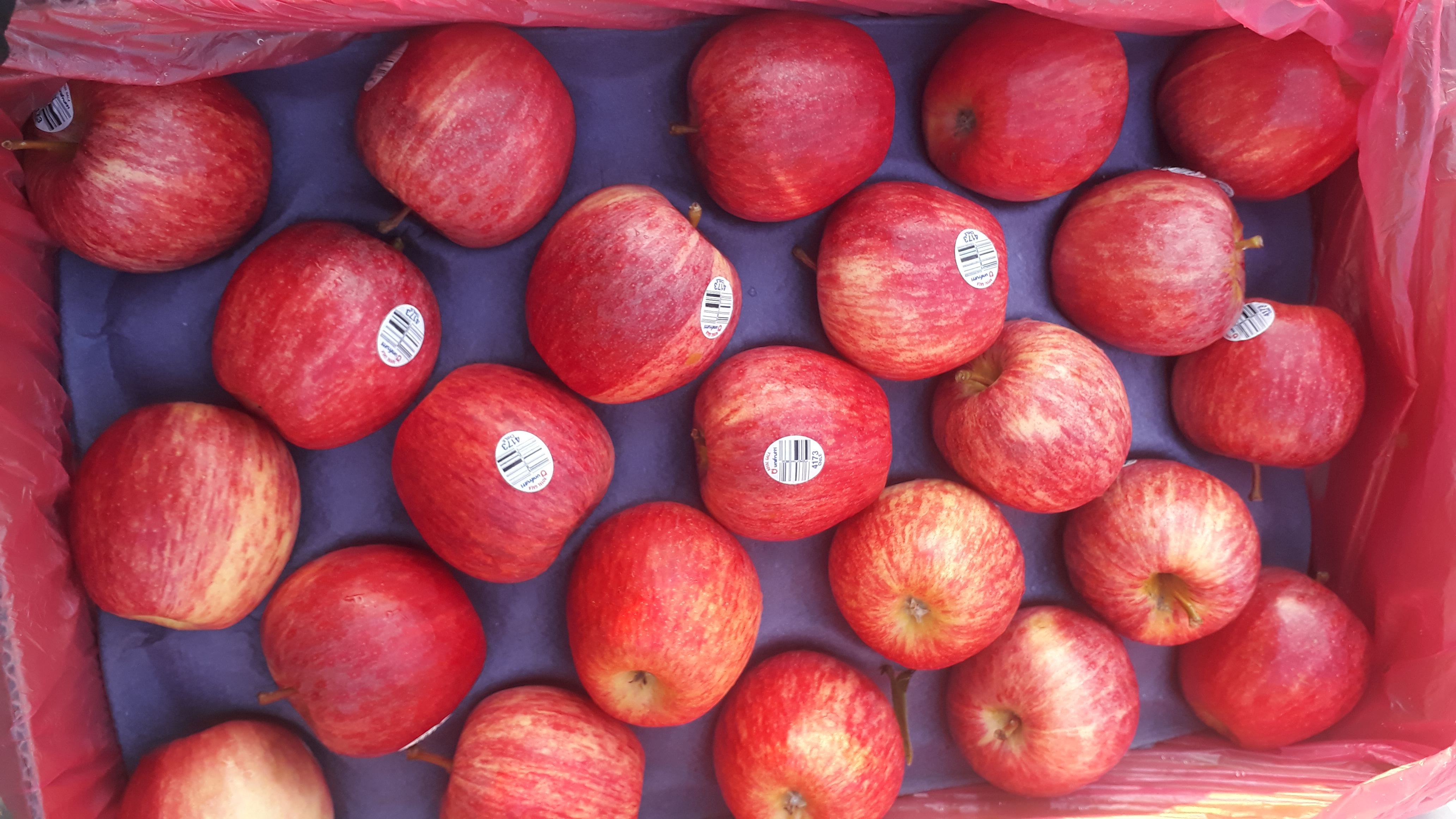 Manzana