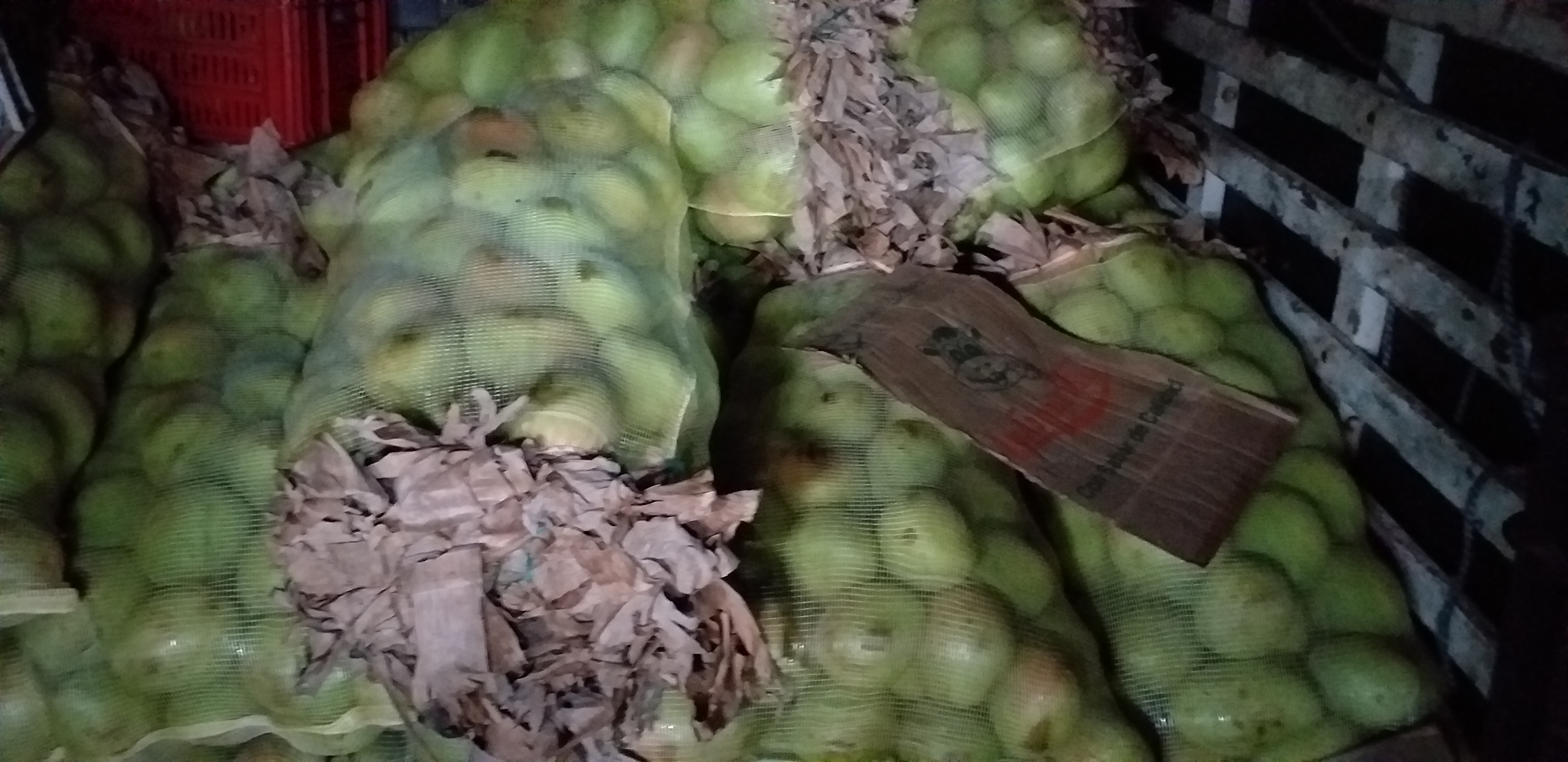 Mango filipino x 60kg