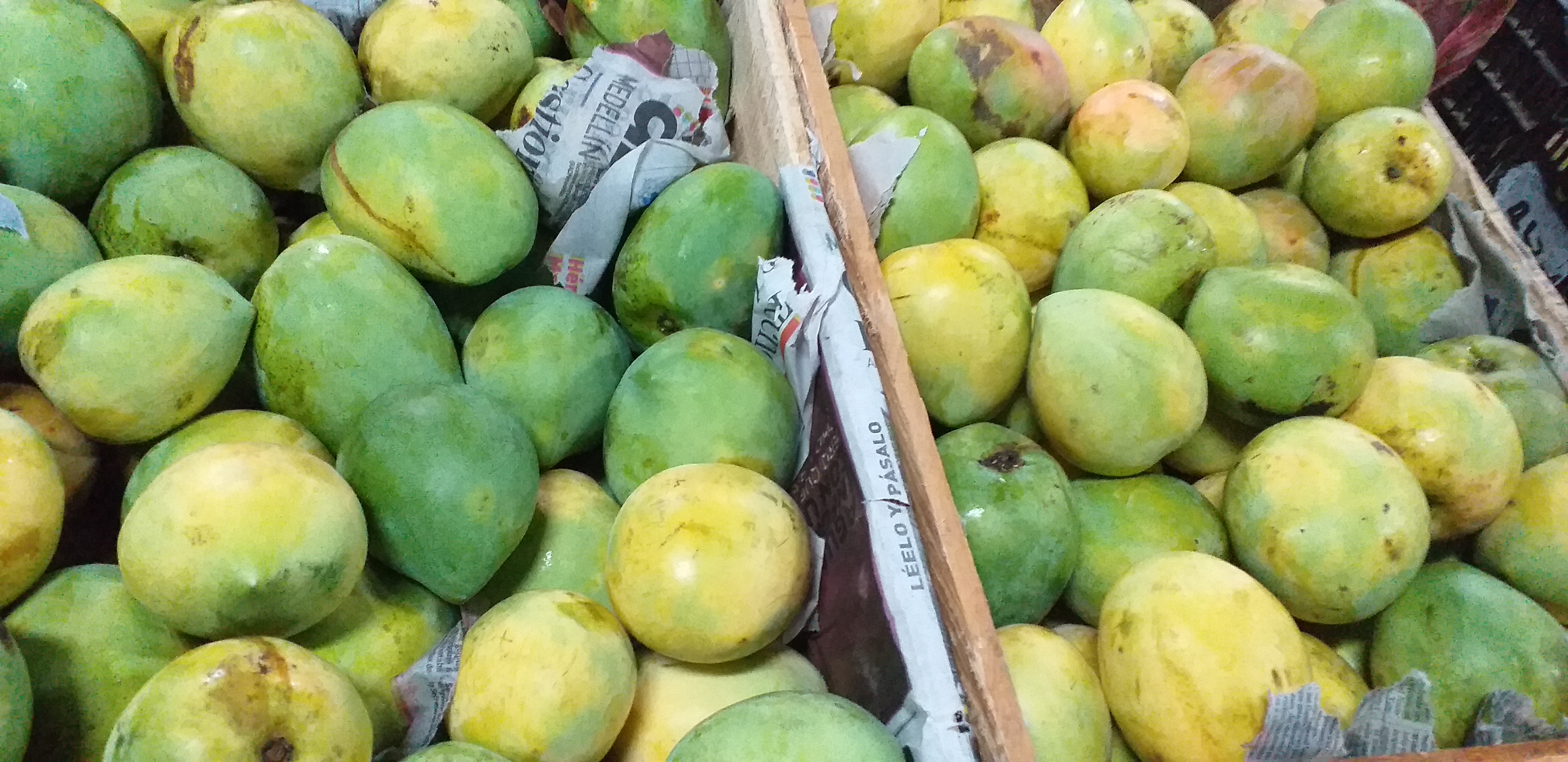 Mango corazon