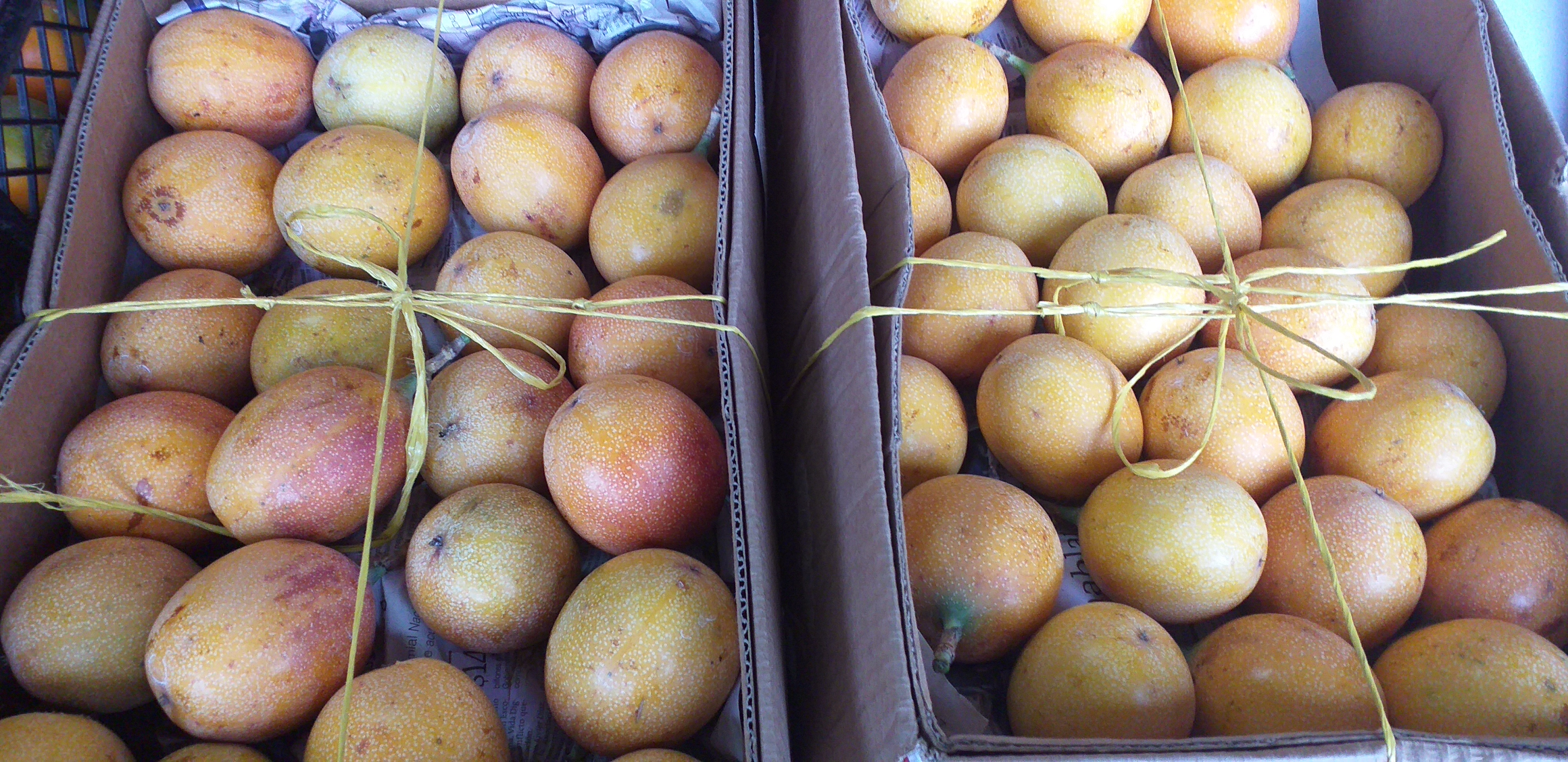 Granadilla extra
