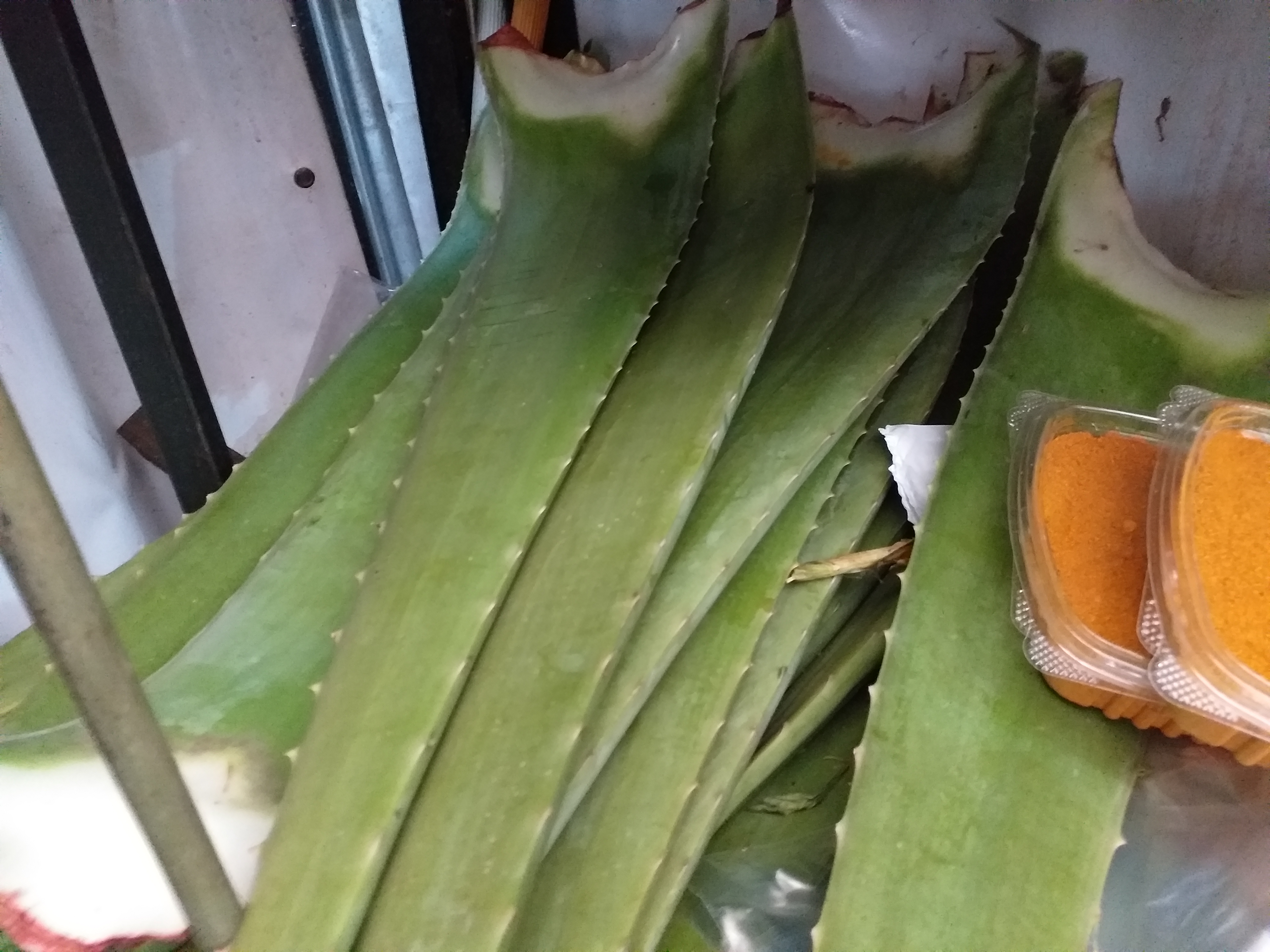 Superpencas