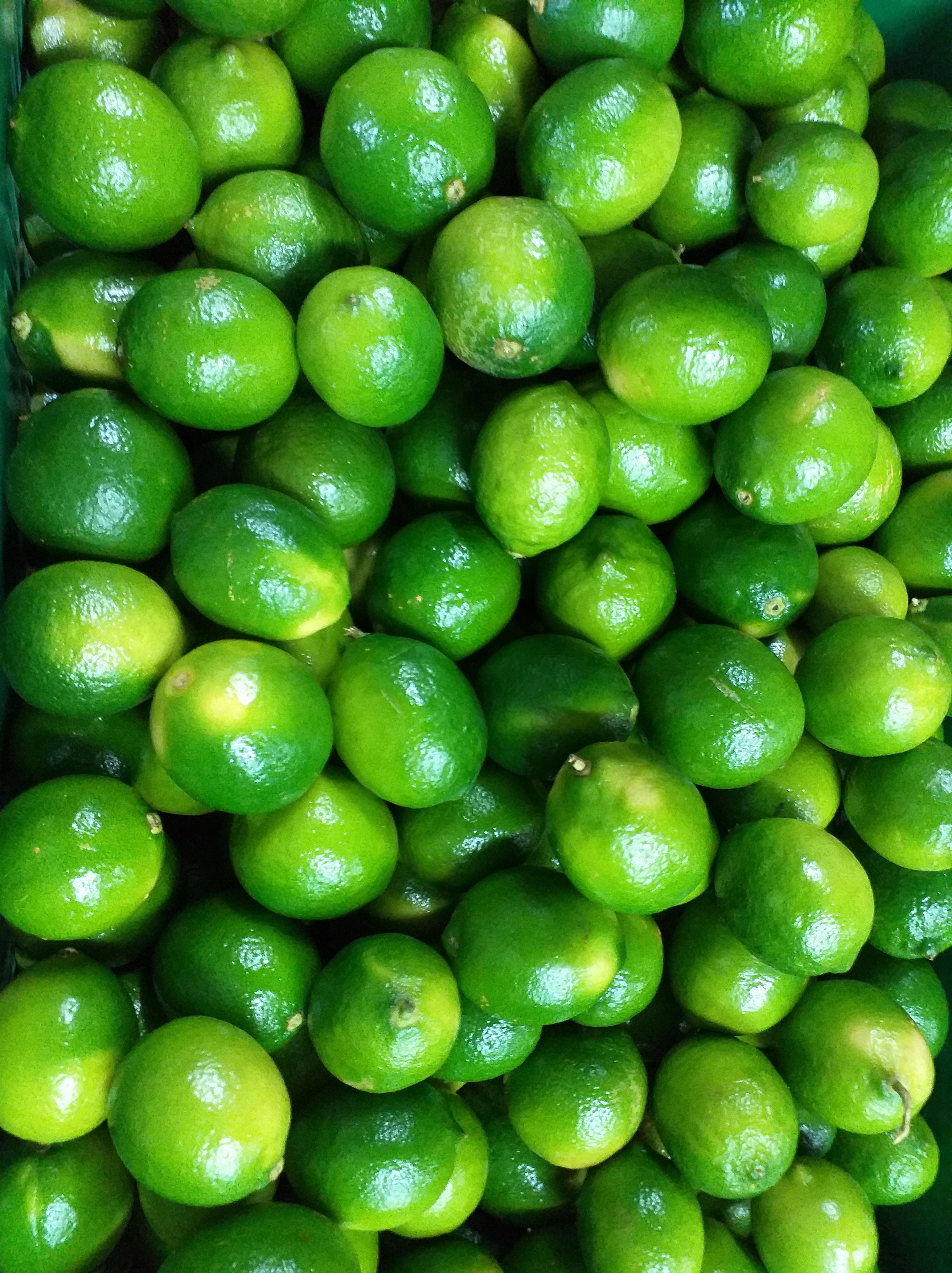 Limon tahiti
