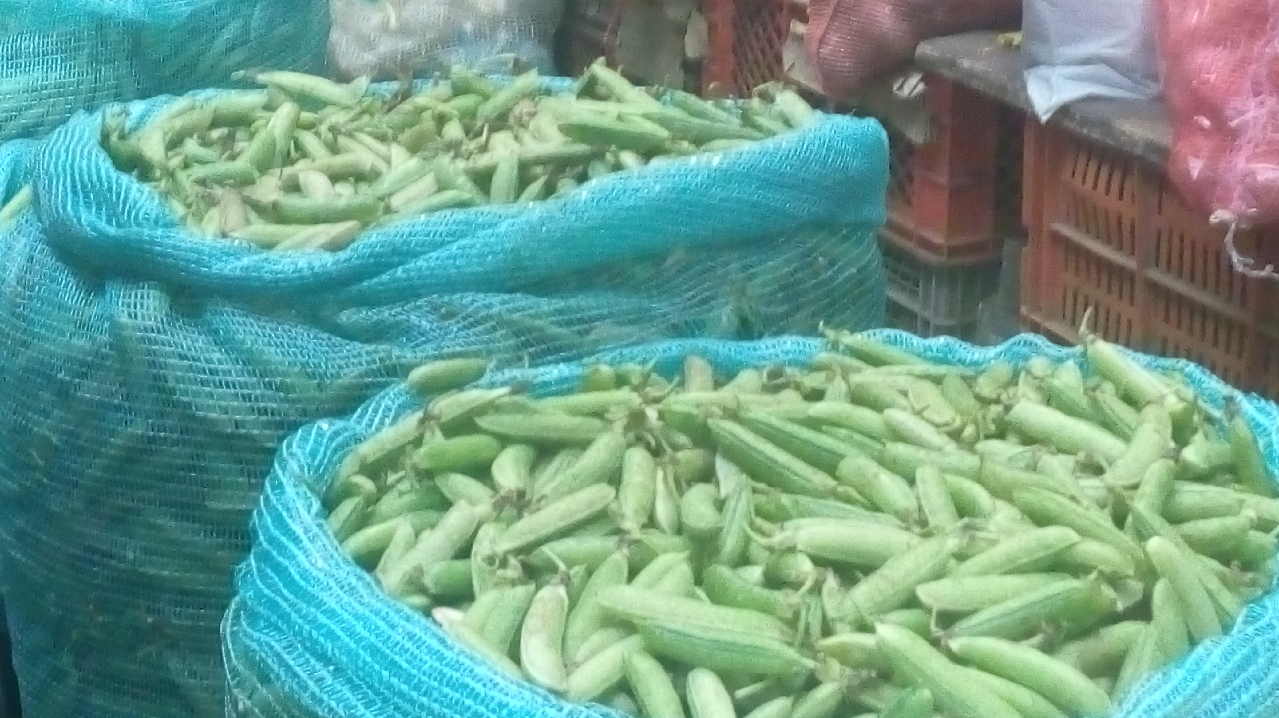 Arvejas en cascara