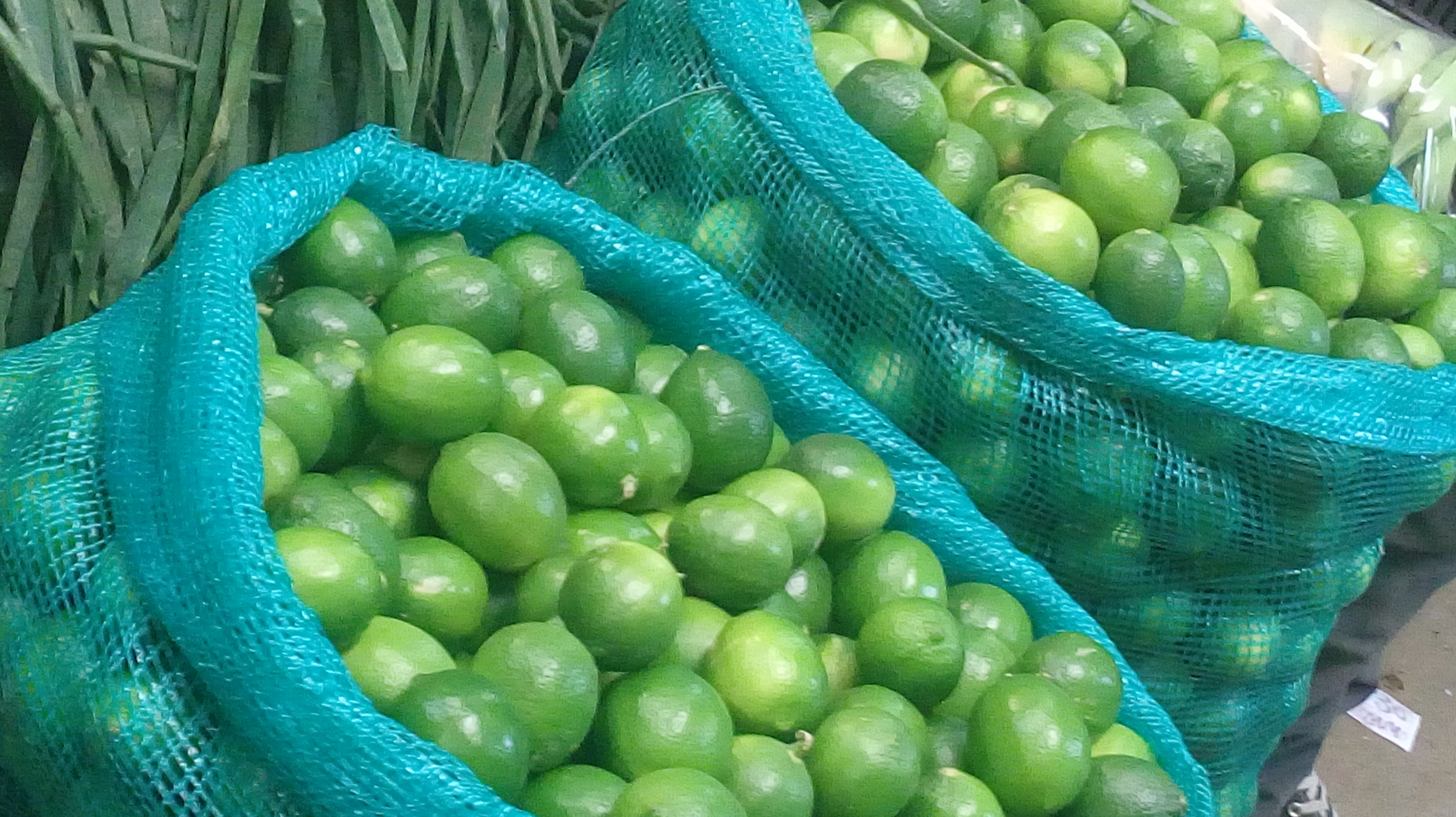 Limon