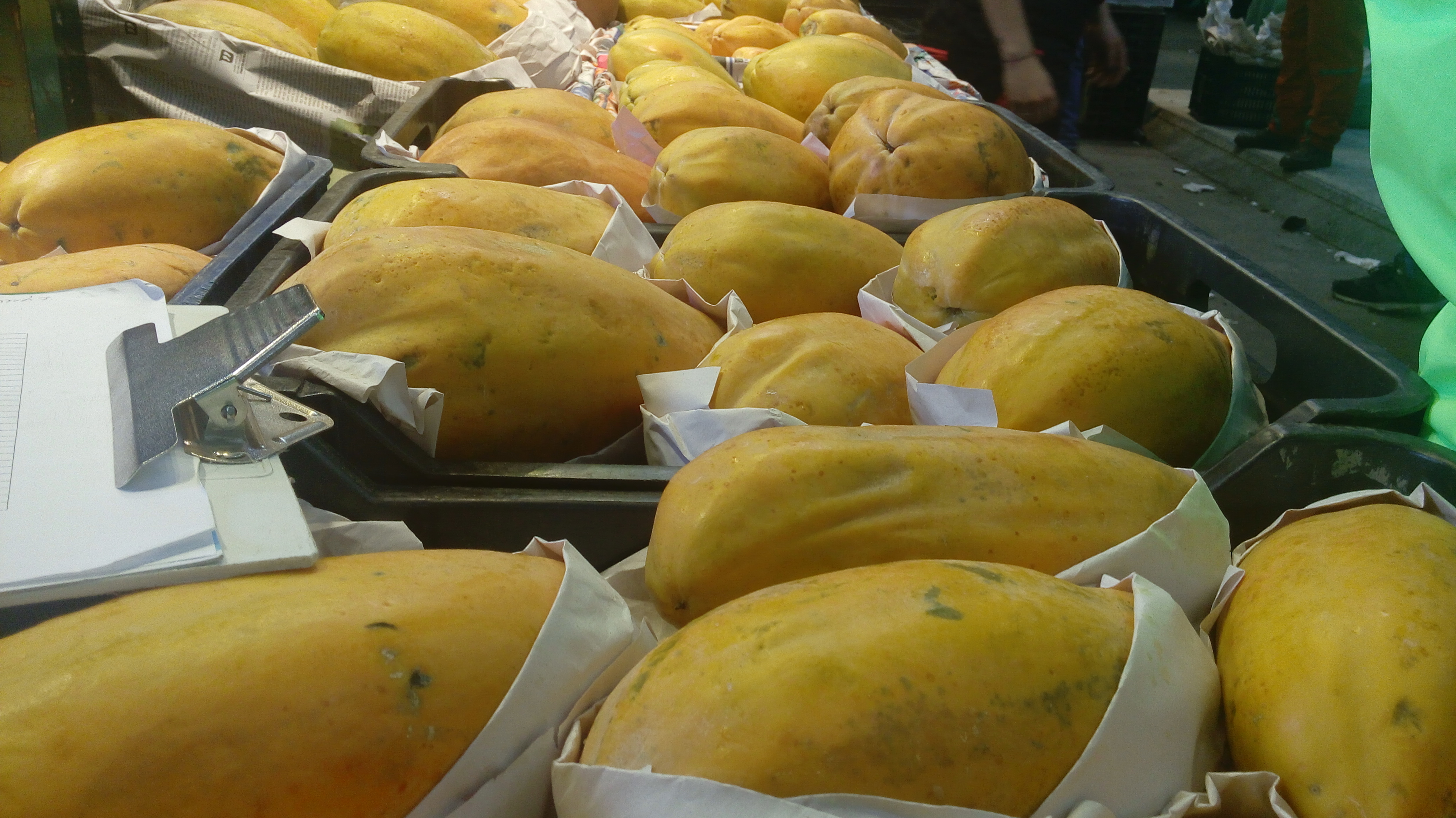 Papaya