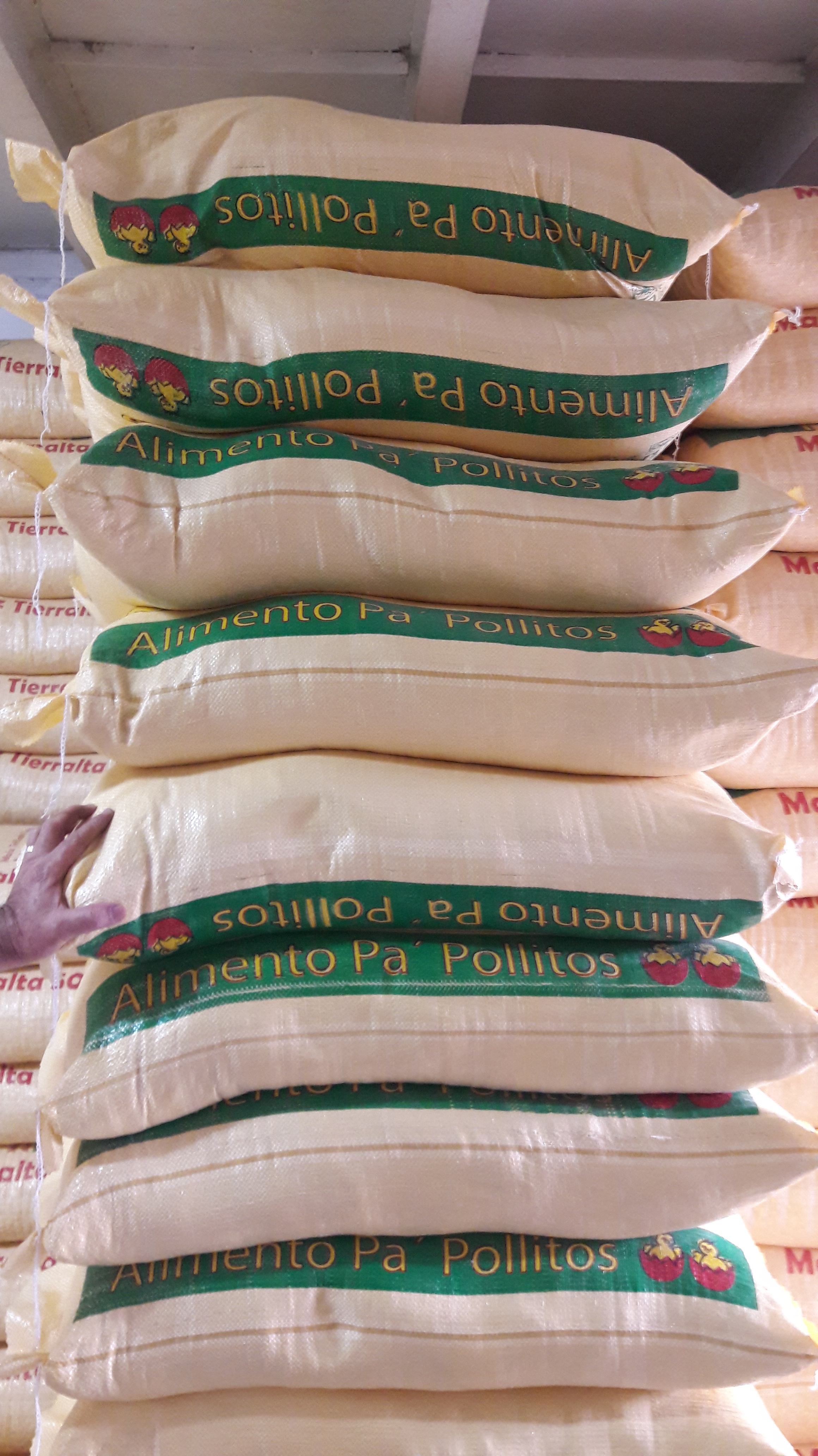 Harina Amarilla bulto×40 kilos