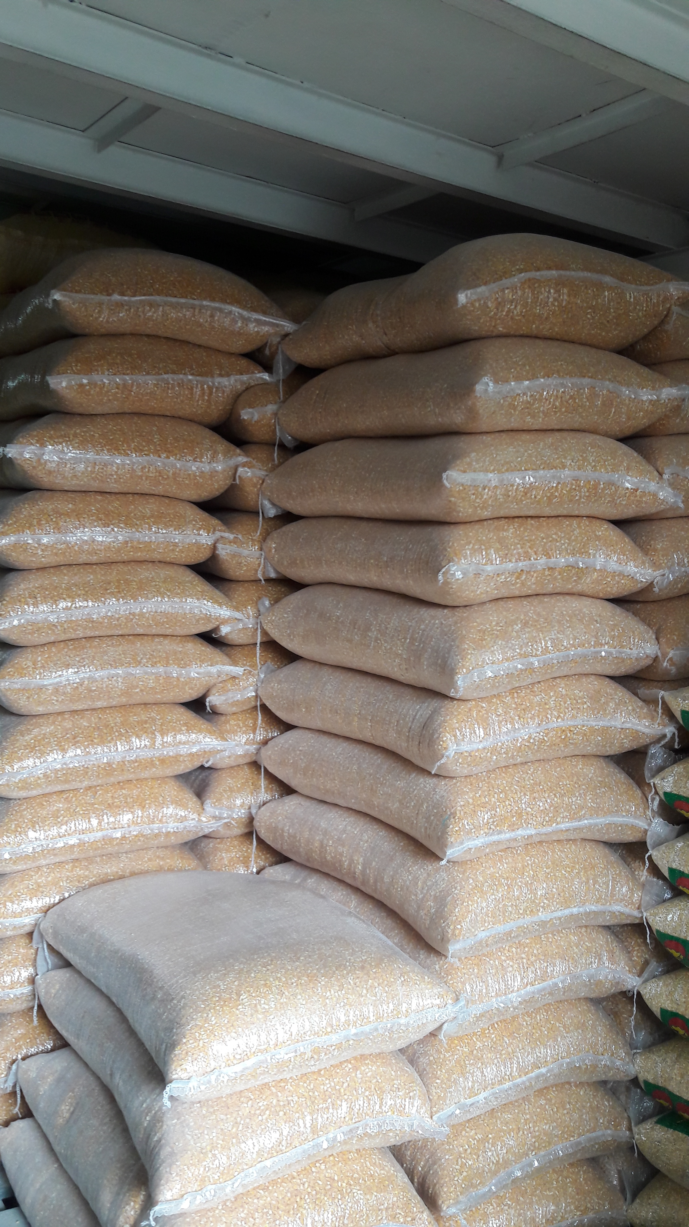 Maiz Trillado Amarillo ×50kg