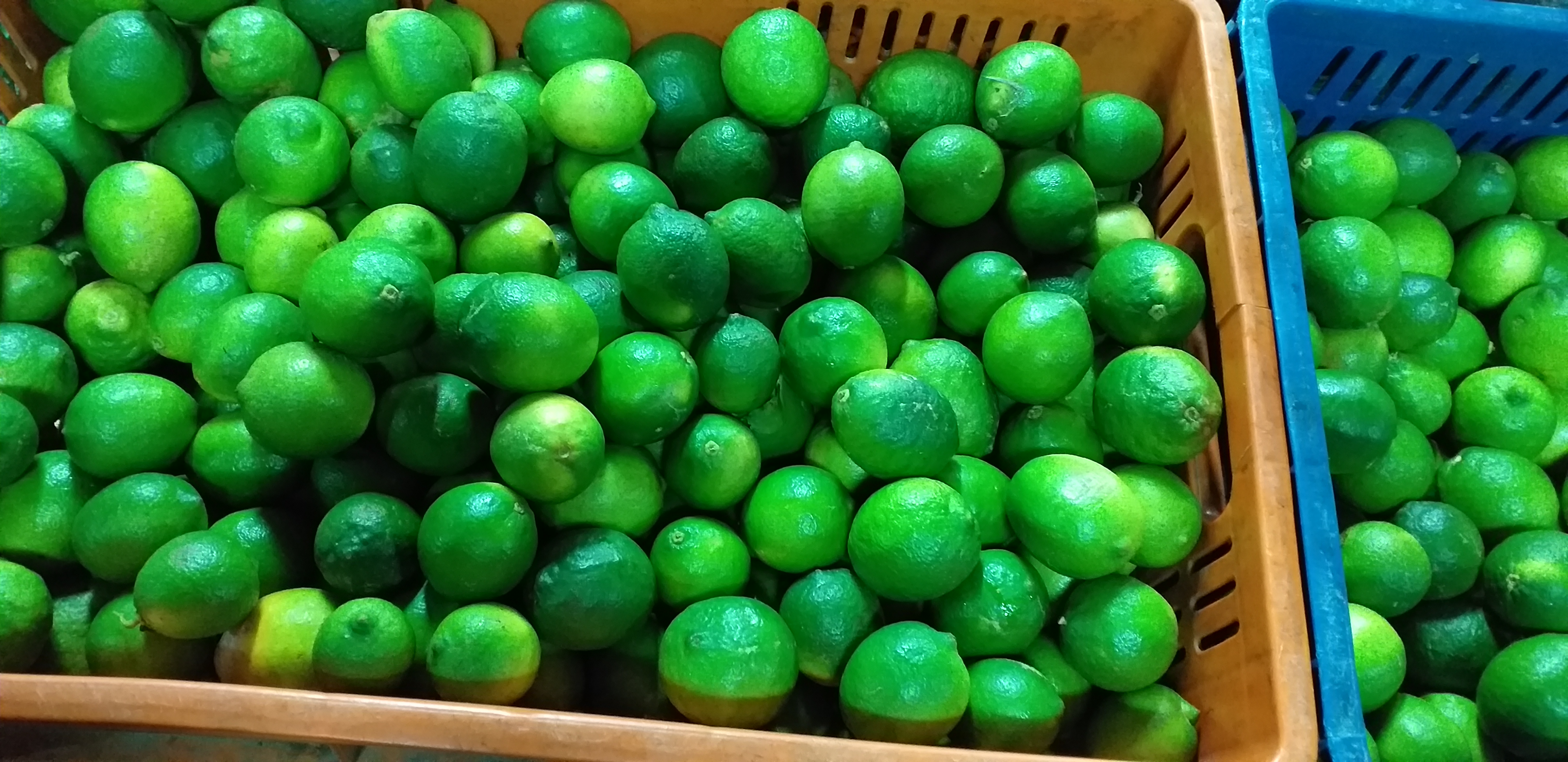 Limon tahiti