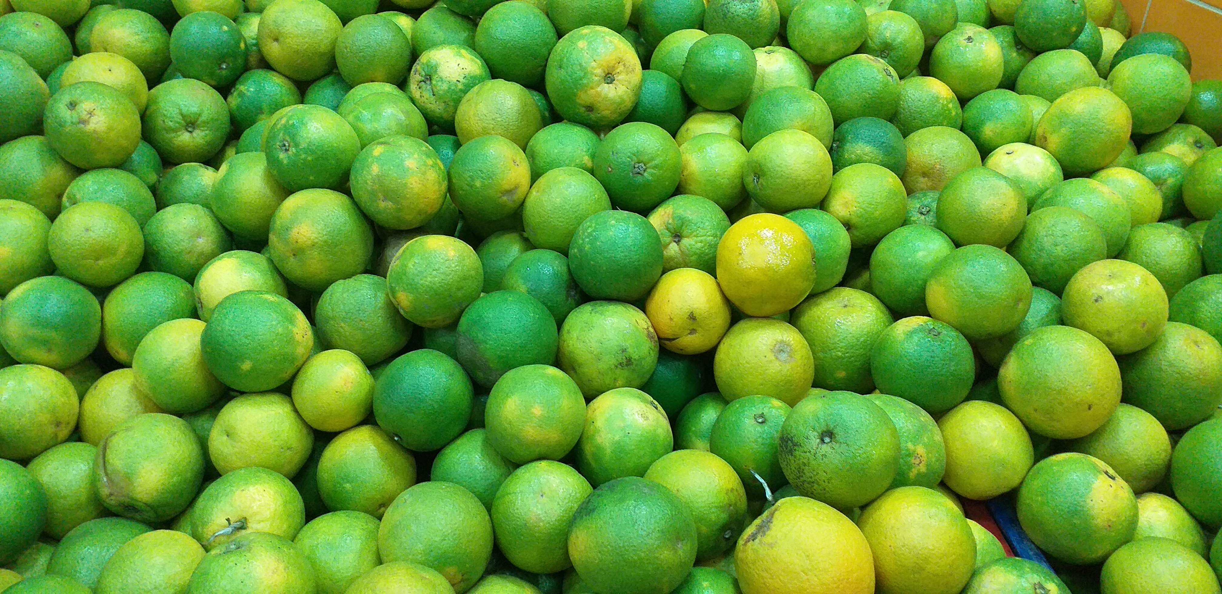 Naranja valencia