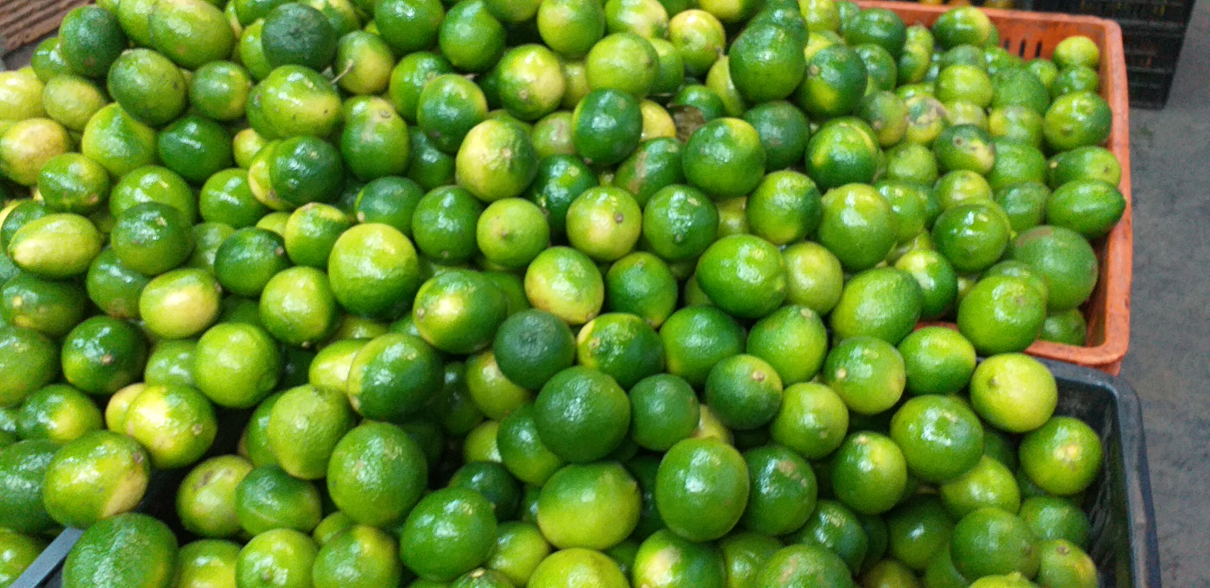 Limon tahiti