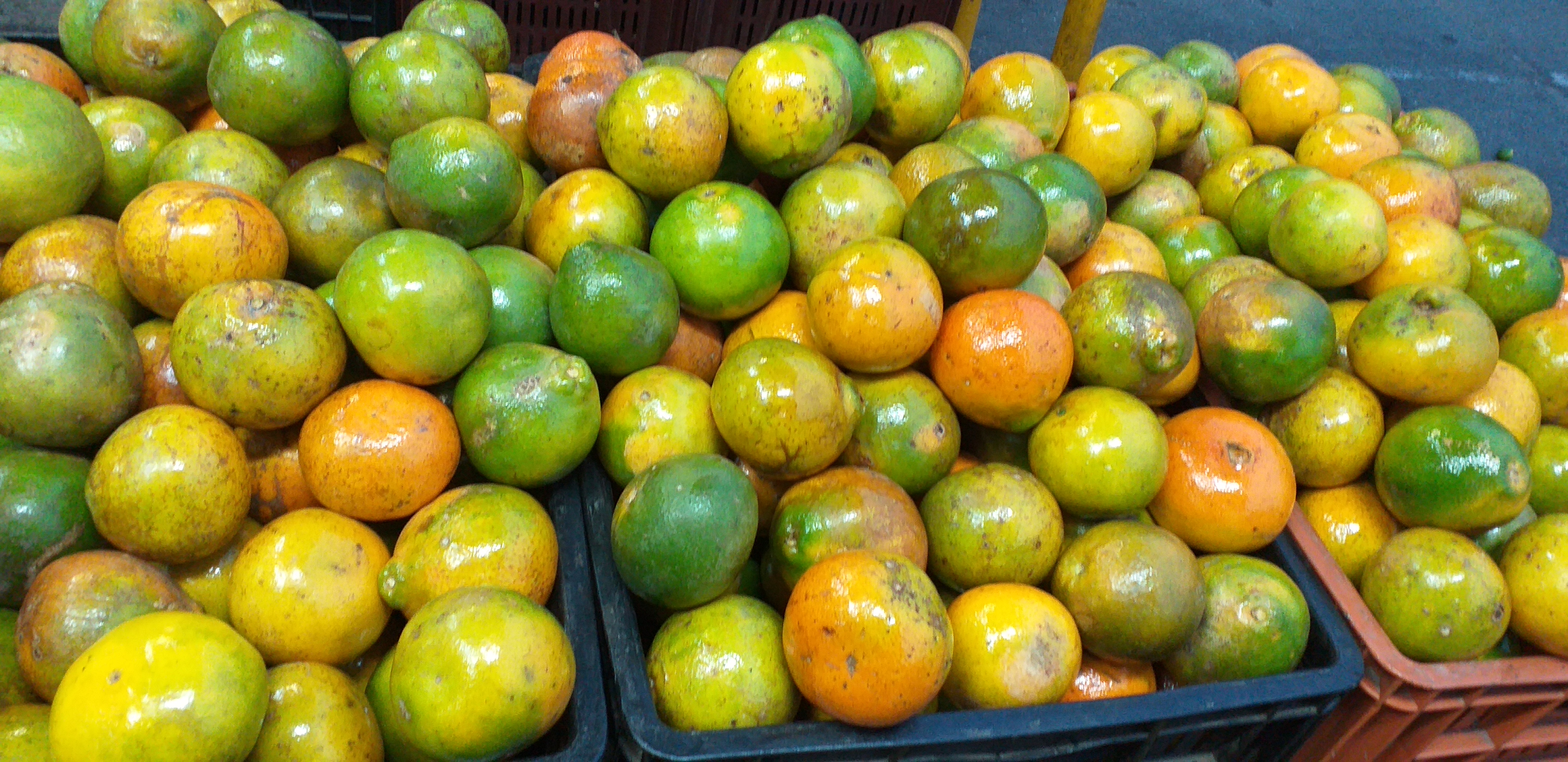 Naranja de 2da corriente