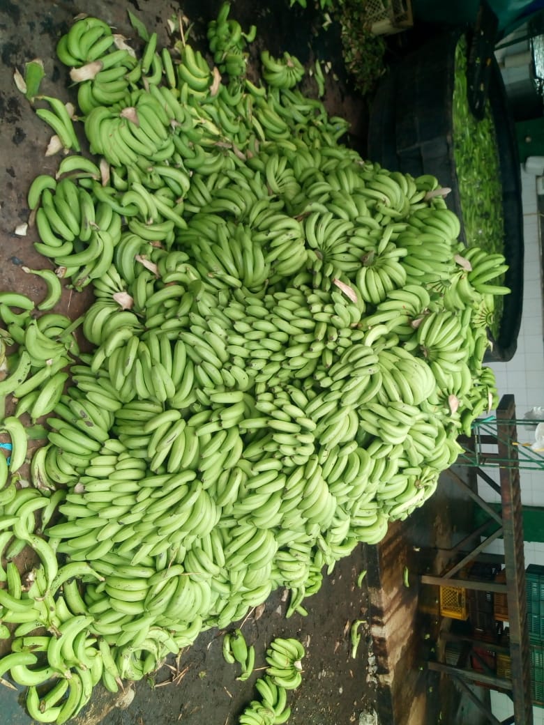 Banano