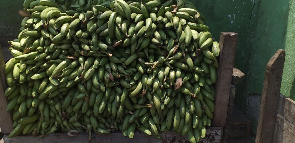 Banano