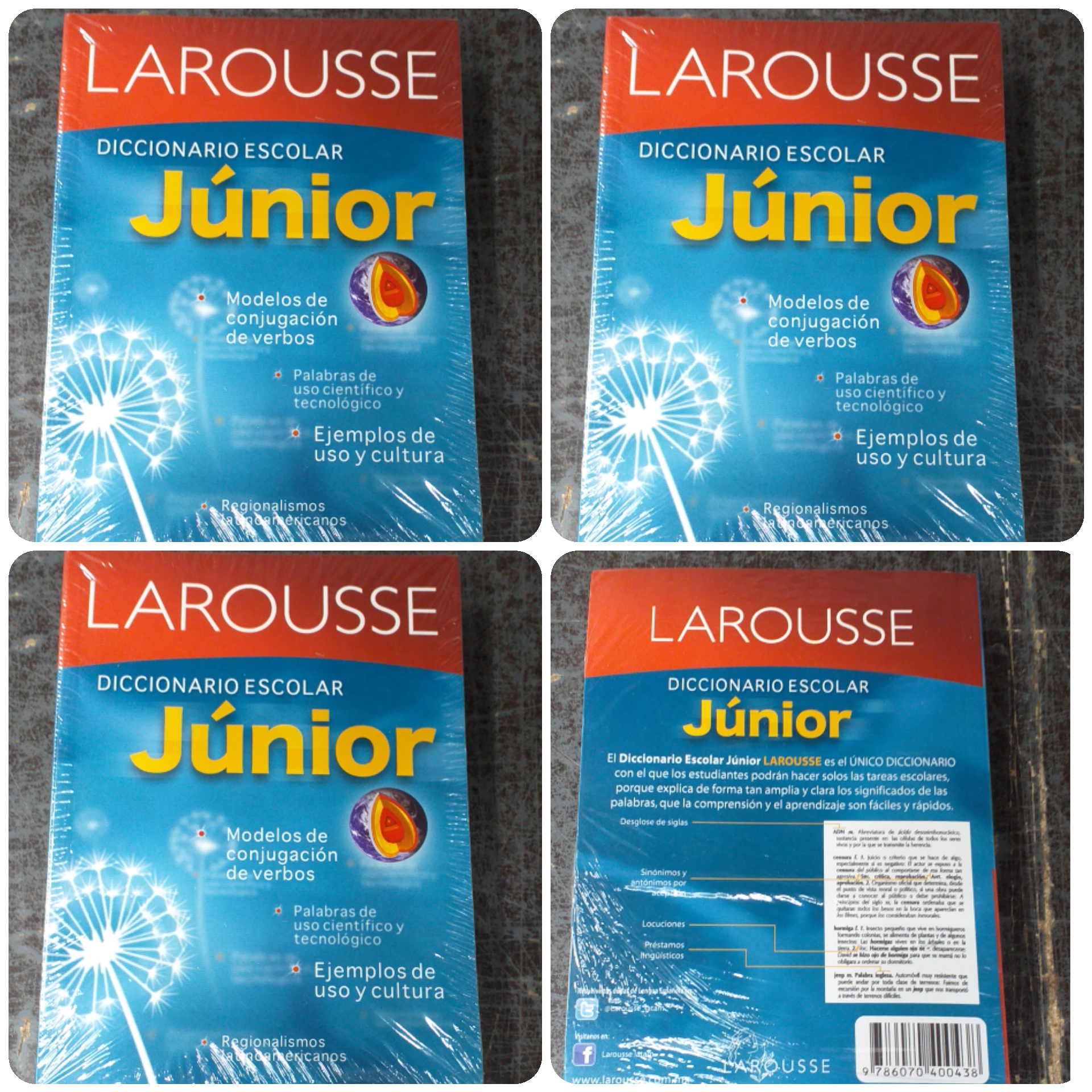 Diccionario escolar junior