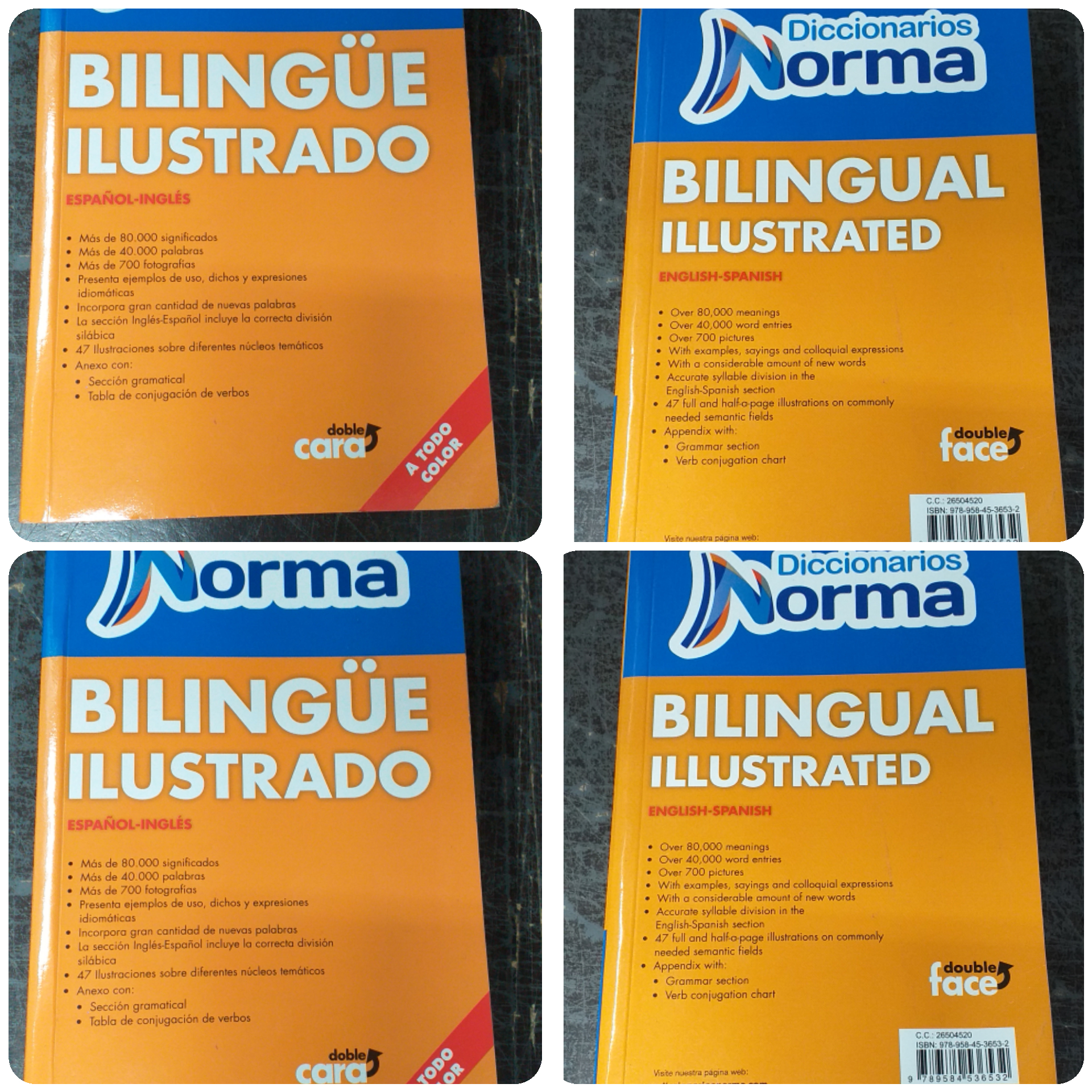Diccionario bilingual ilustrado