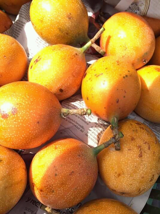 Granadilla