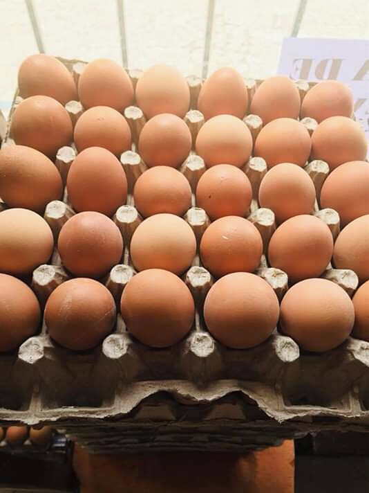 Huevos a