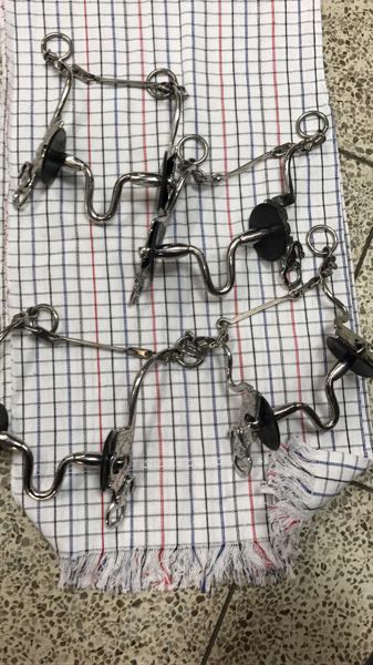 Frenos caballo