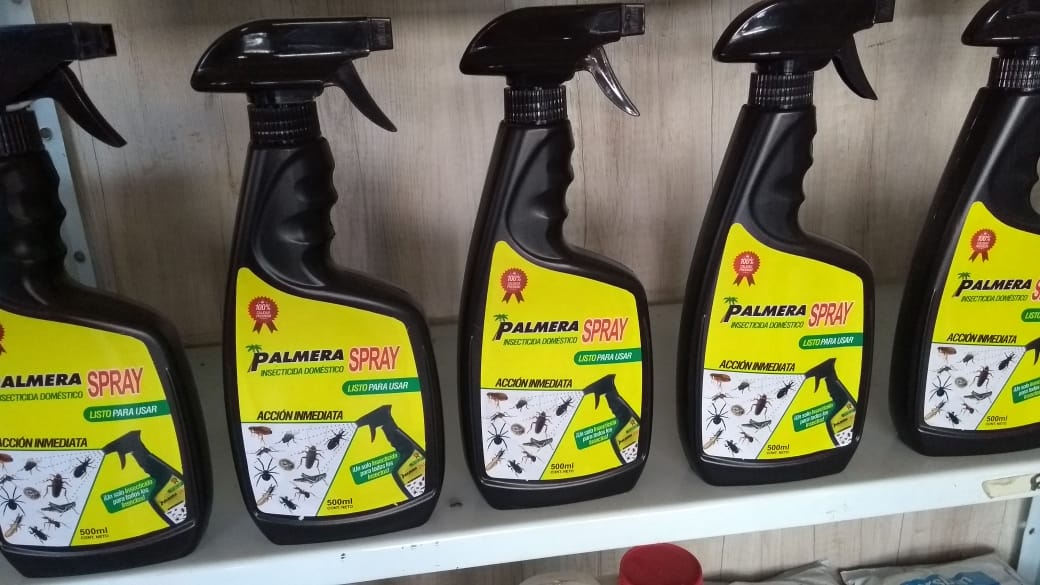 Palmera