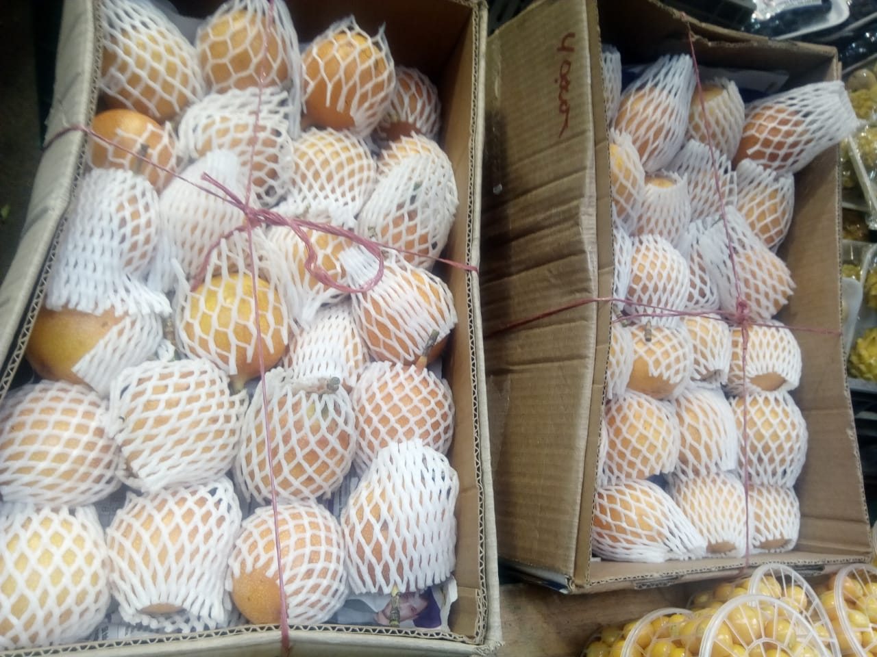 Granadilla