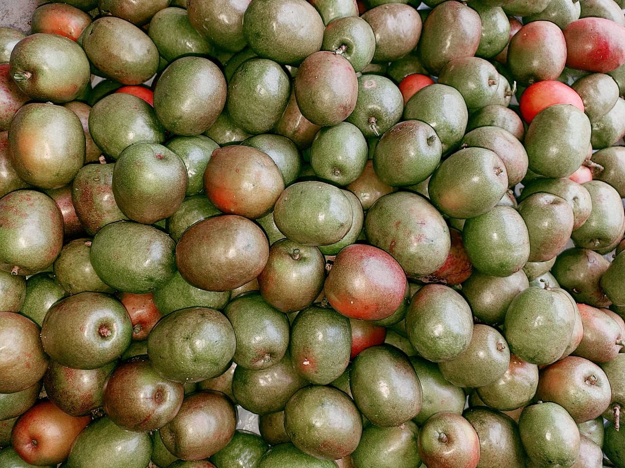 Ciruela