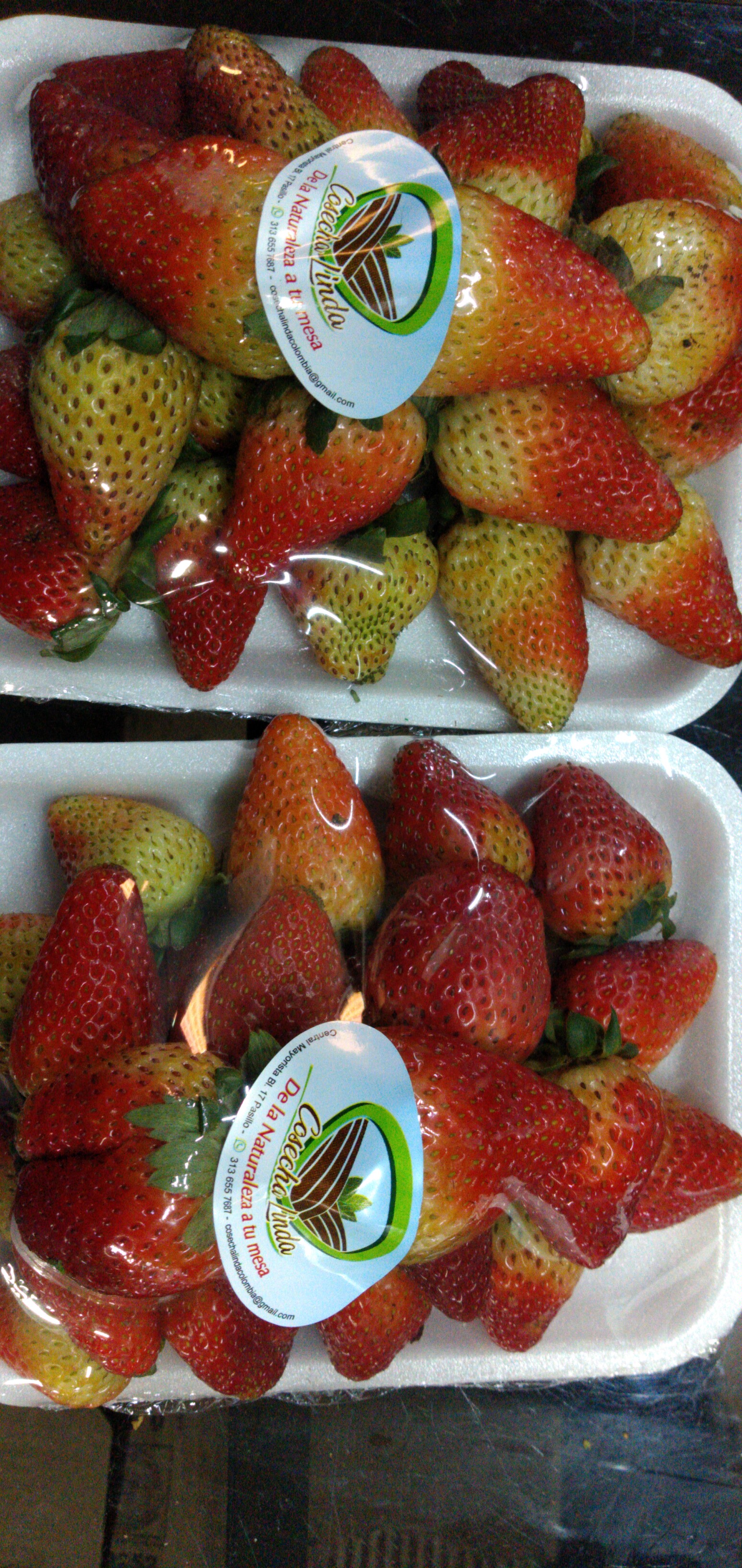 Fresa jumbo en bandeja
