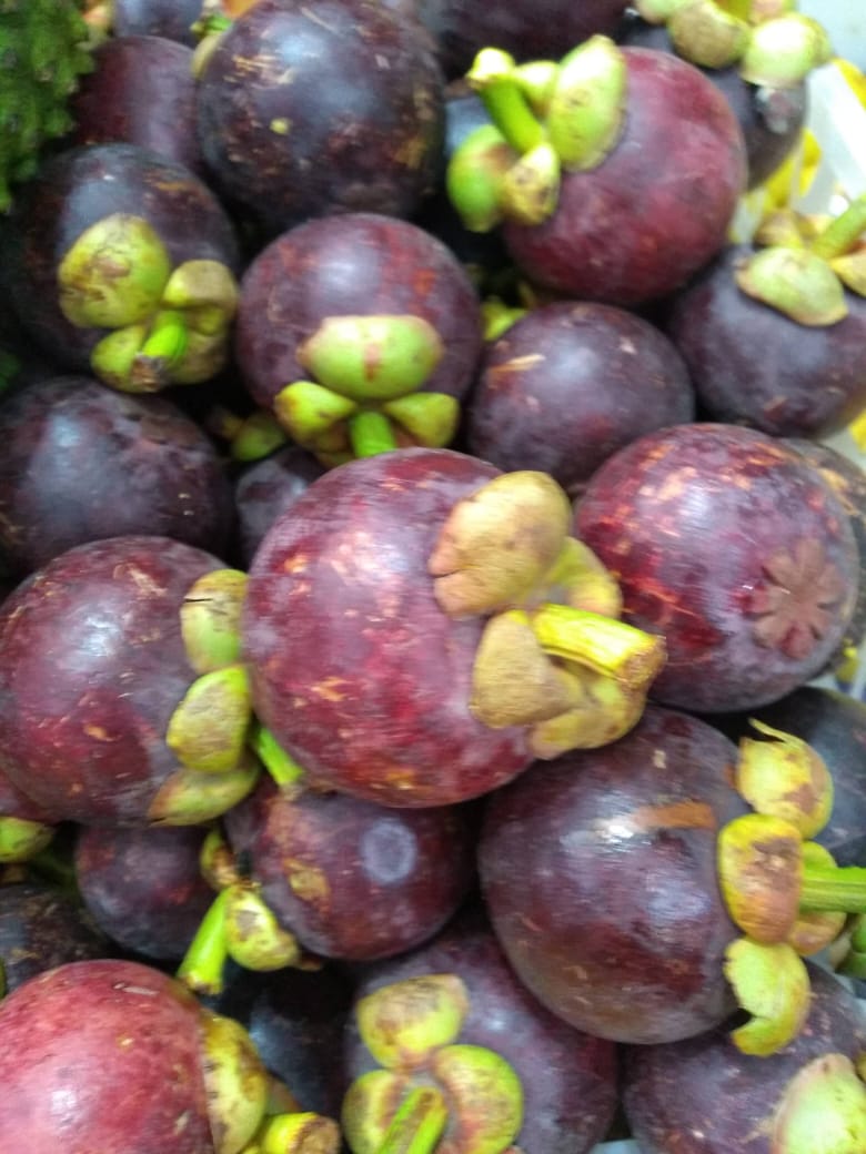 Mangostino selecto