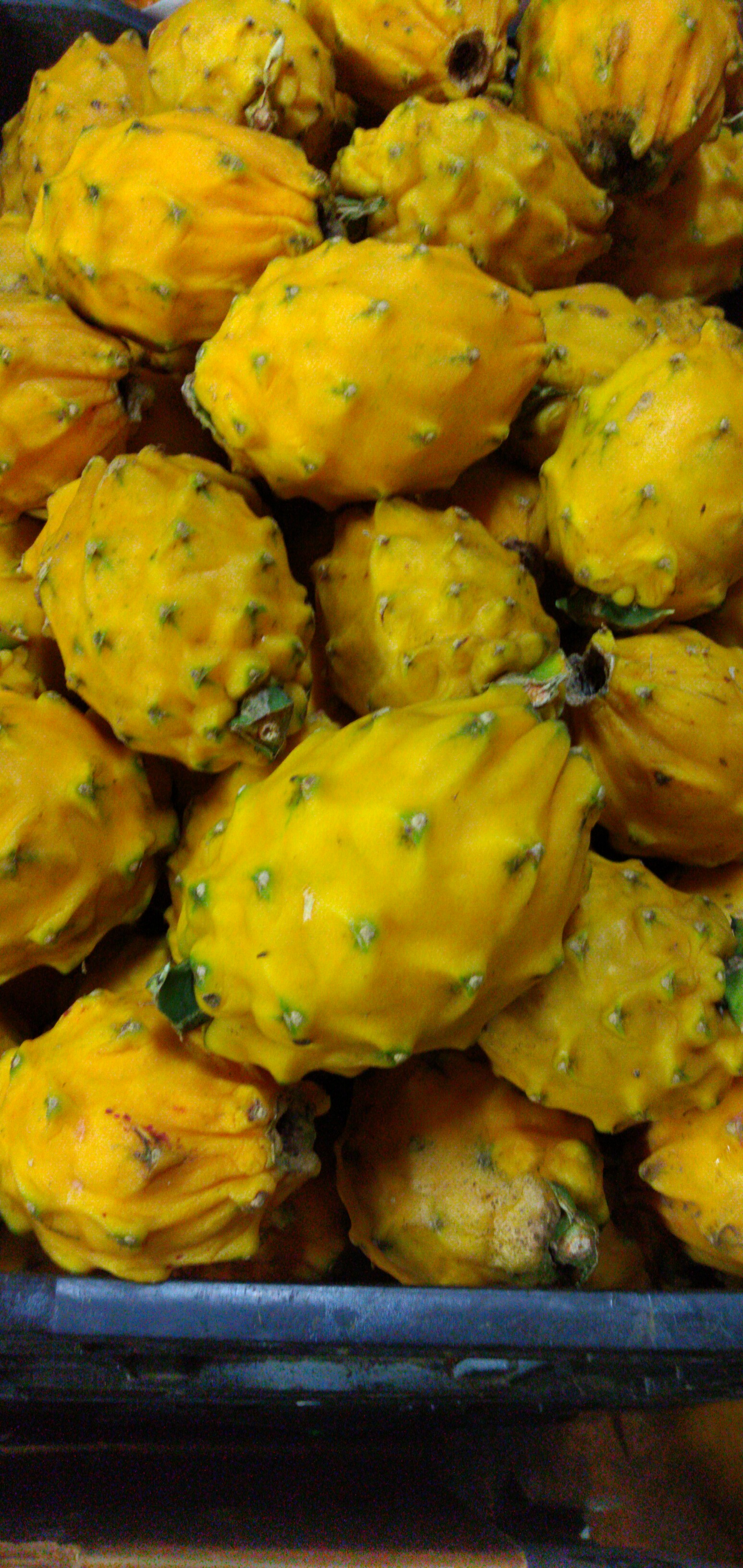 Pitaya