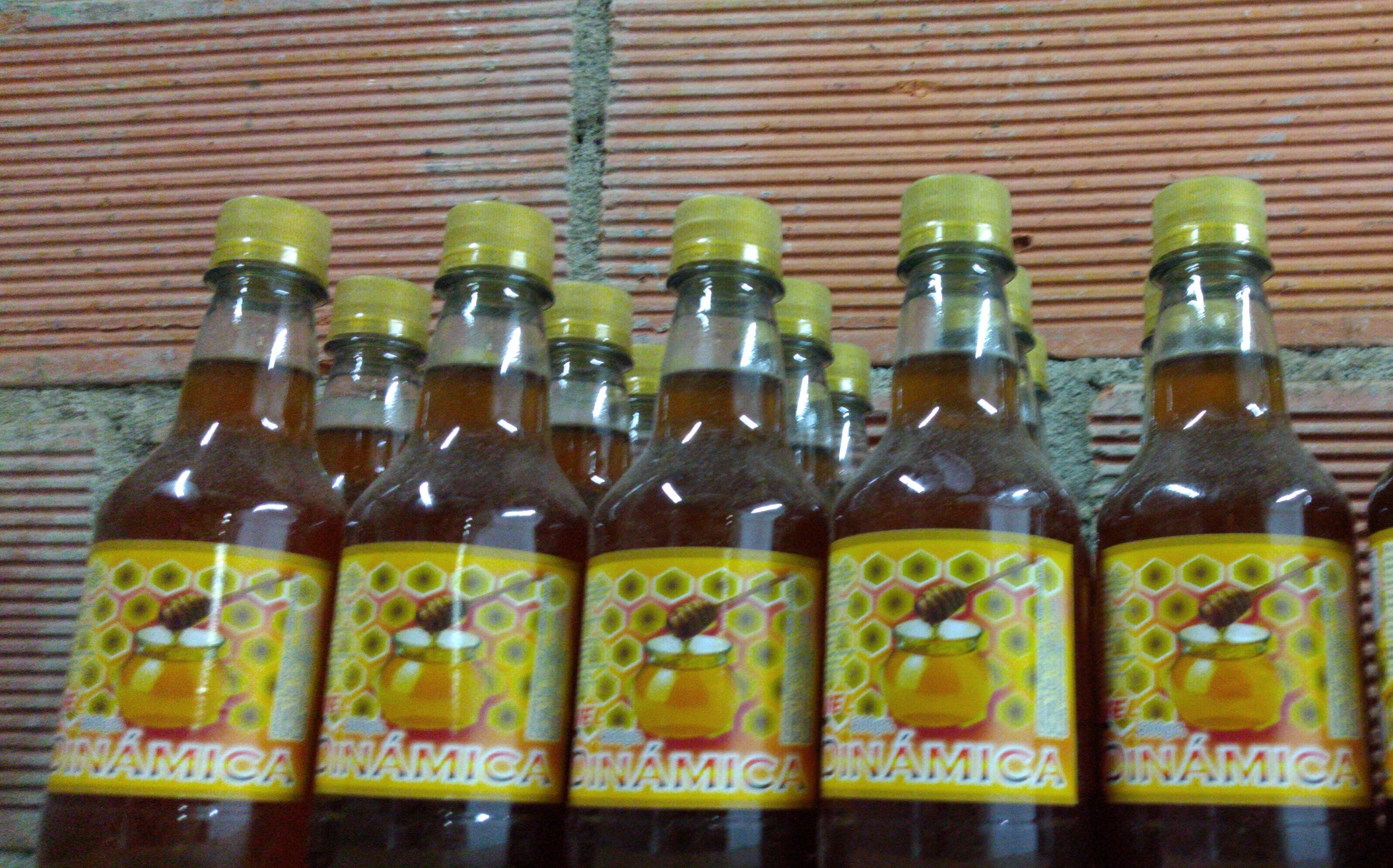 Miel dinámica x 500 ml