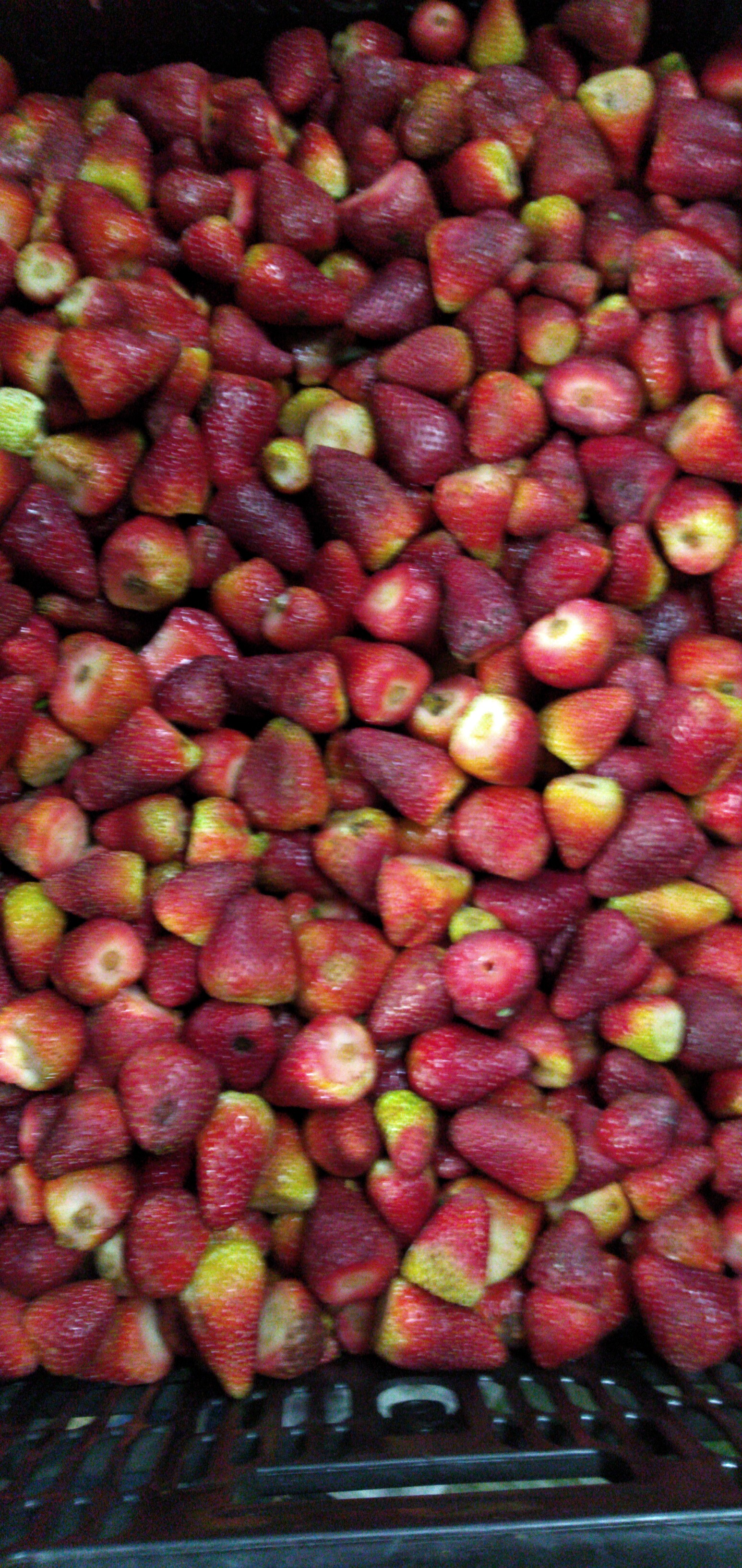 Fresa despitonada