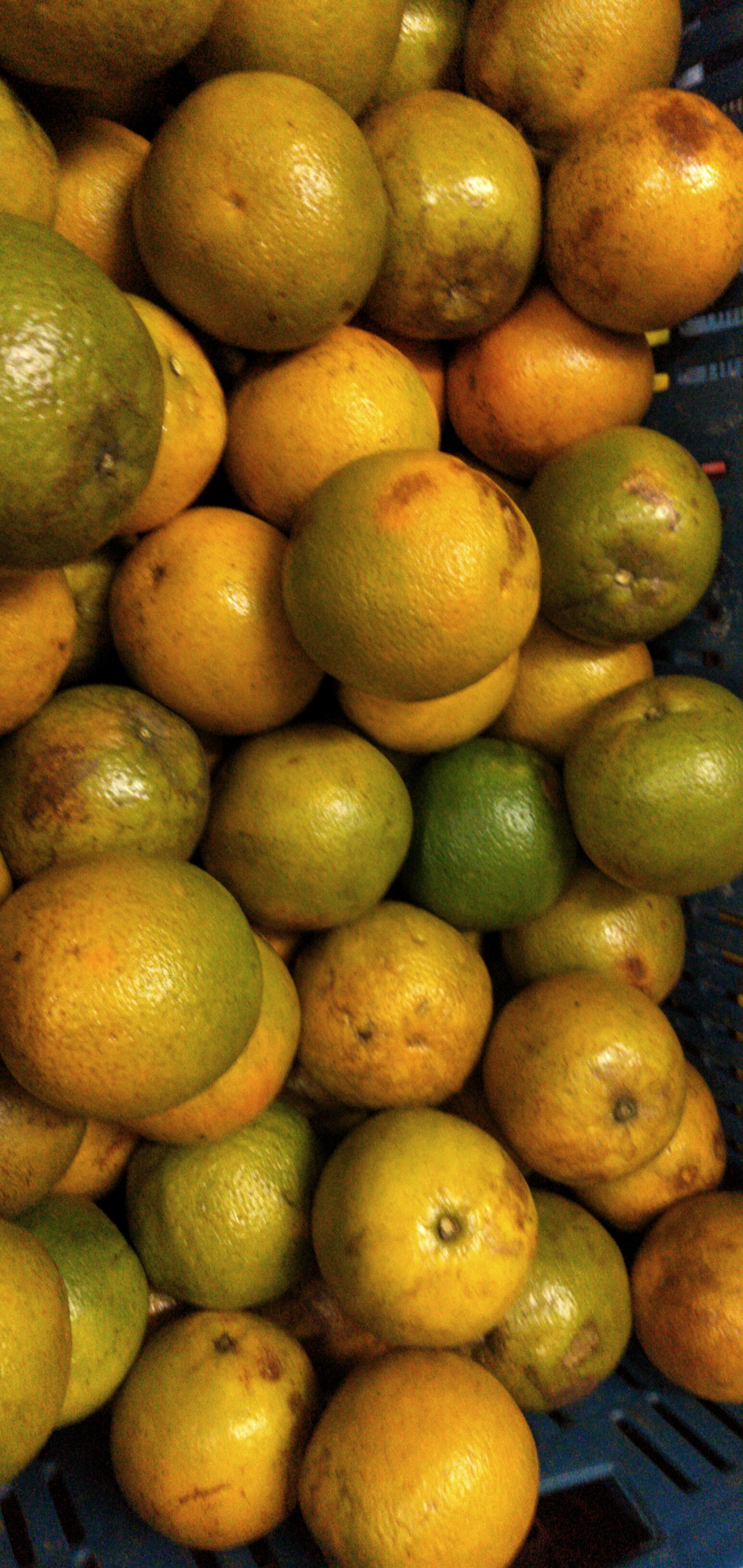 Naranja manchada