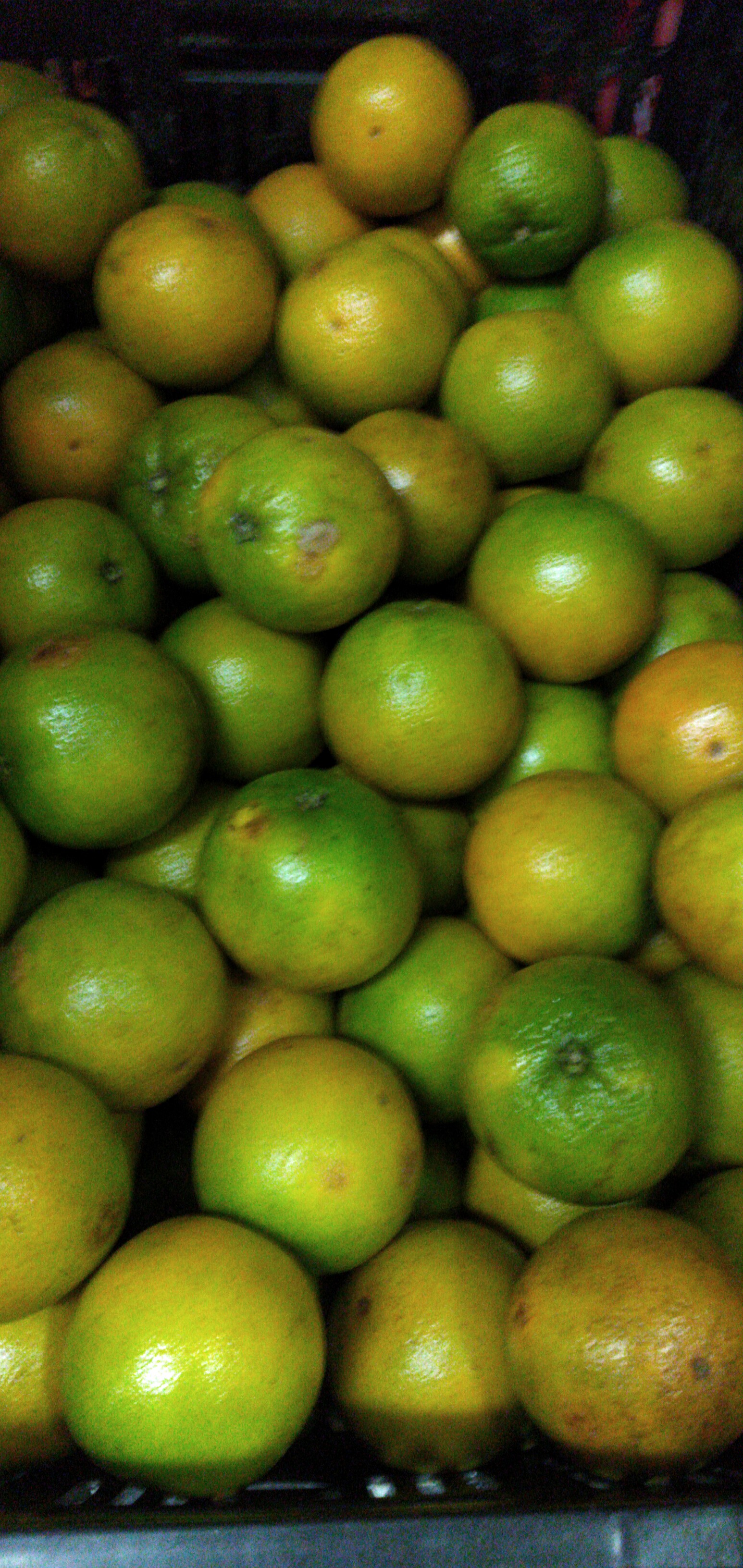 Naranja segunda