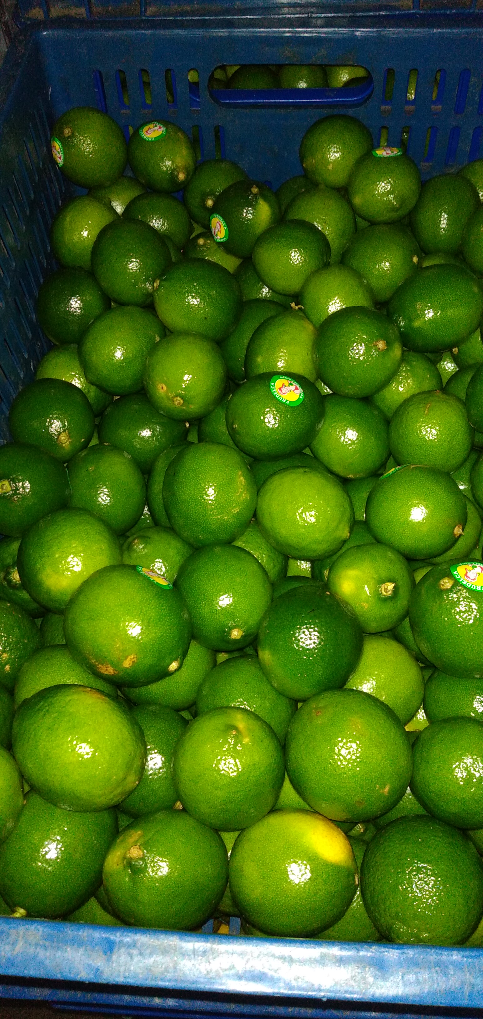 Limón Tahití