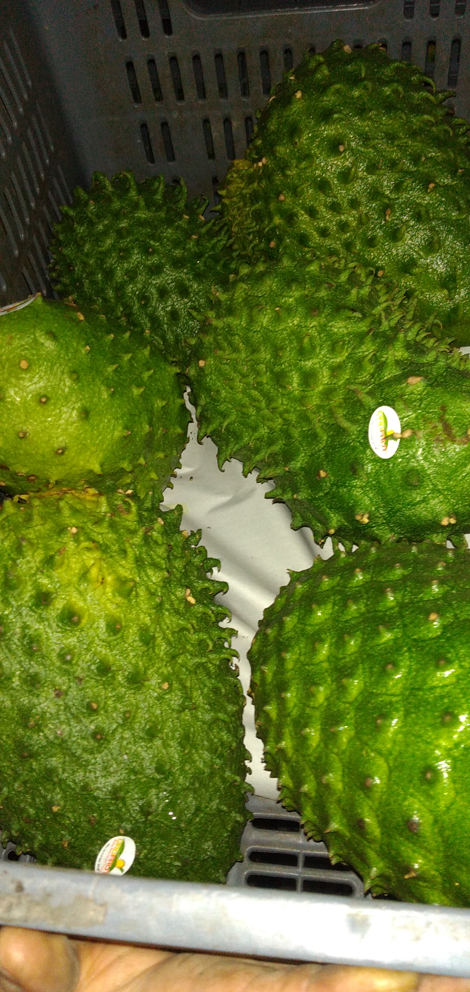 Guanabana
