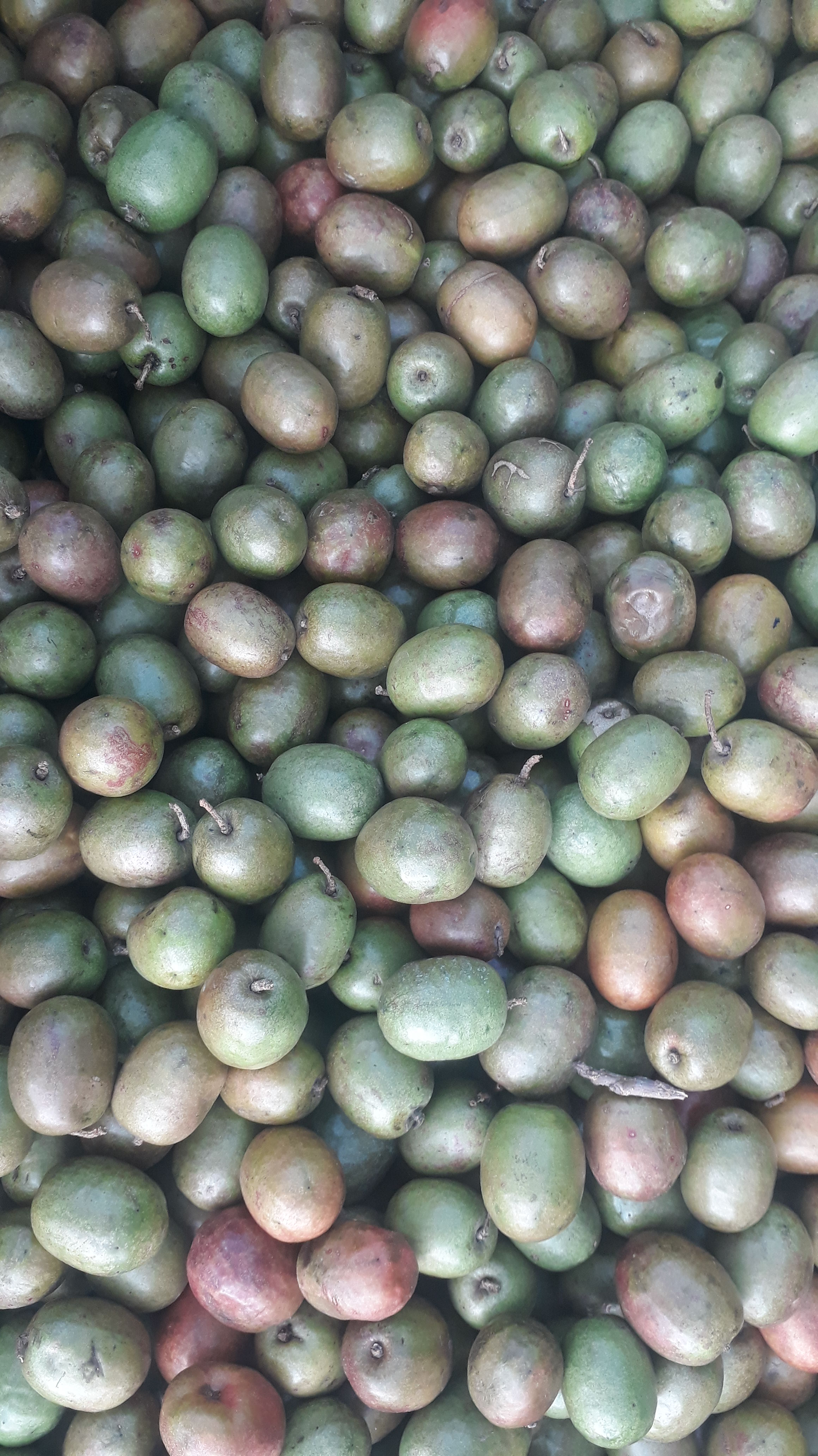 Ciruela