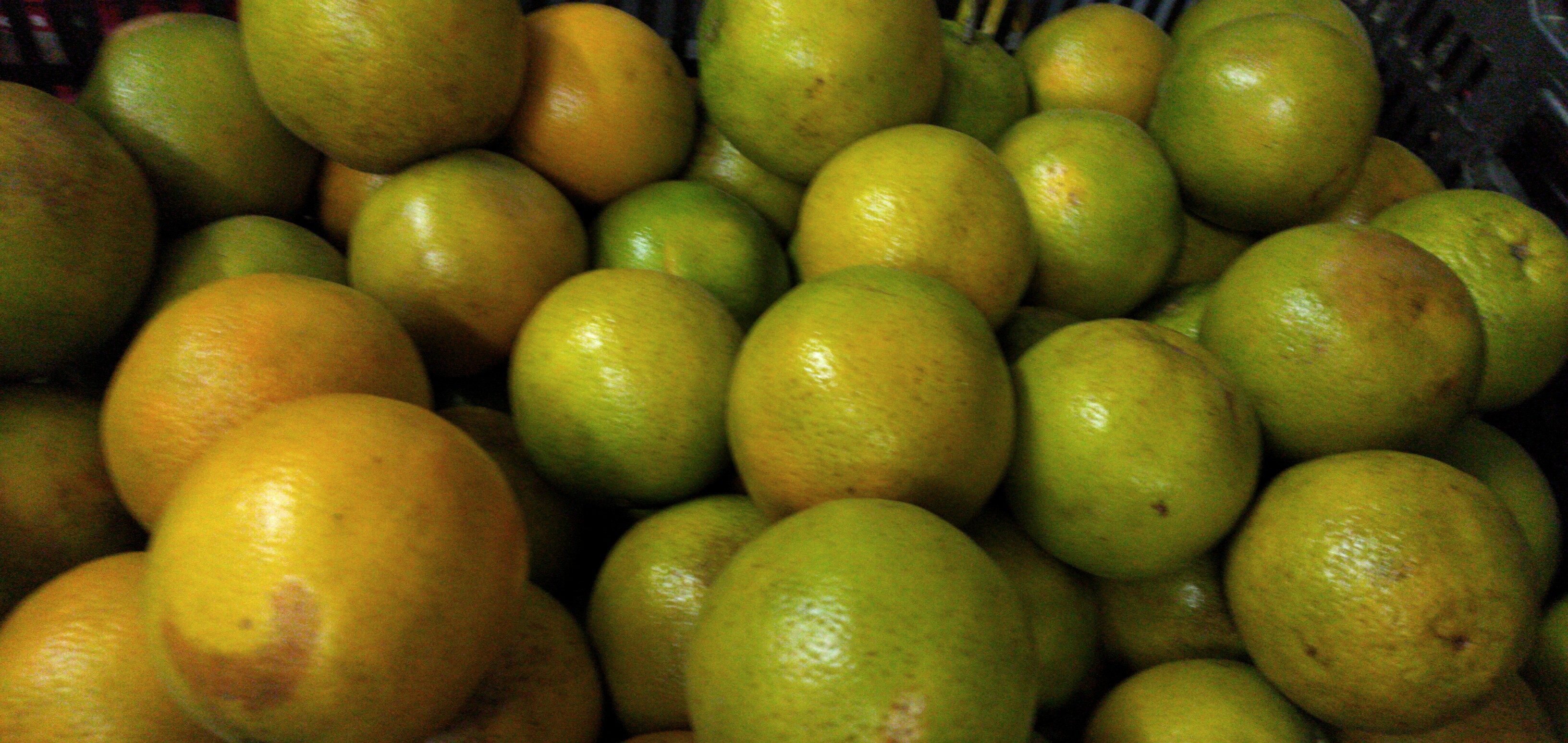 Naranja primera