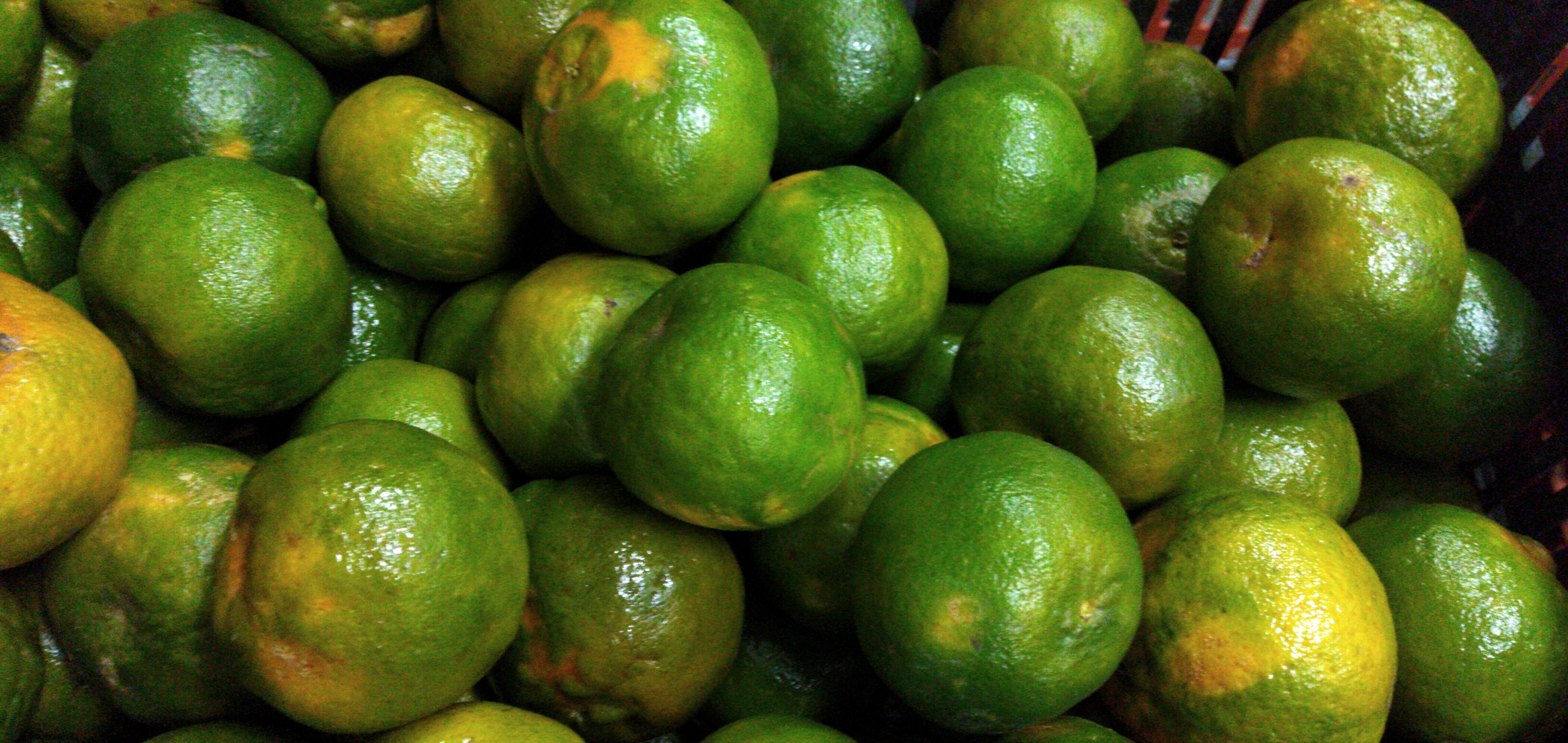 Mandarina primera