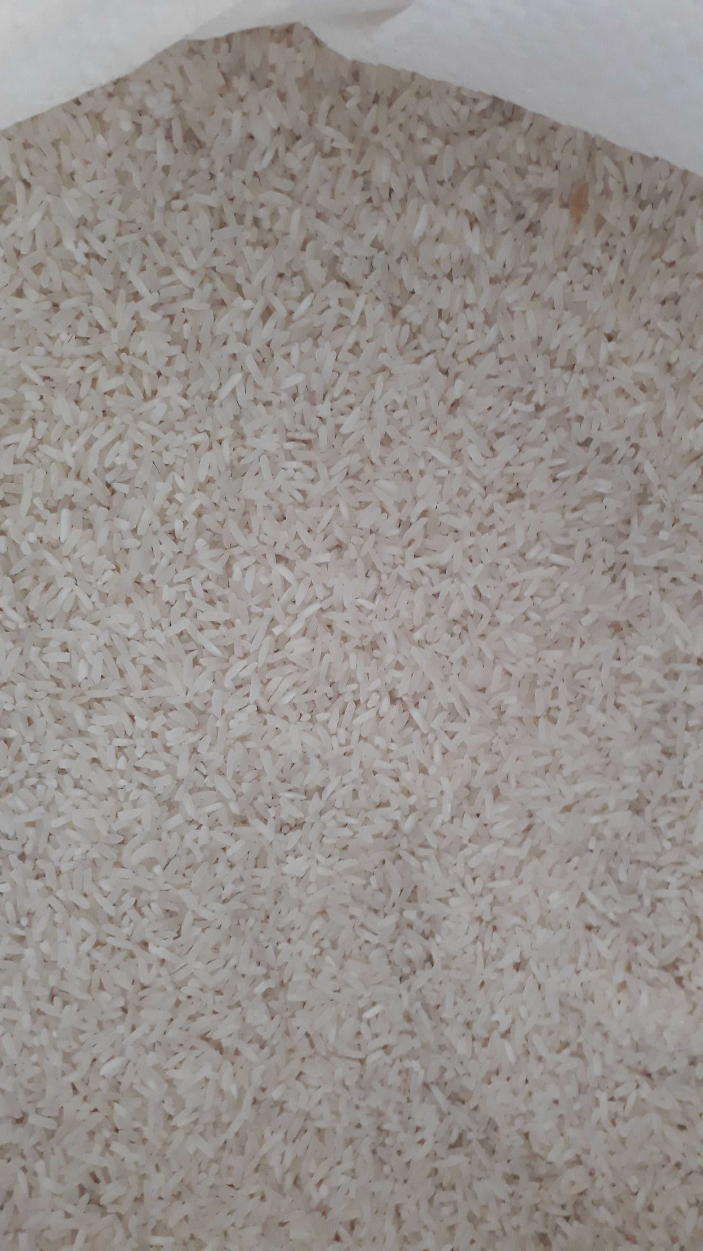 Arroz