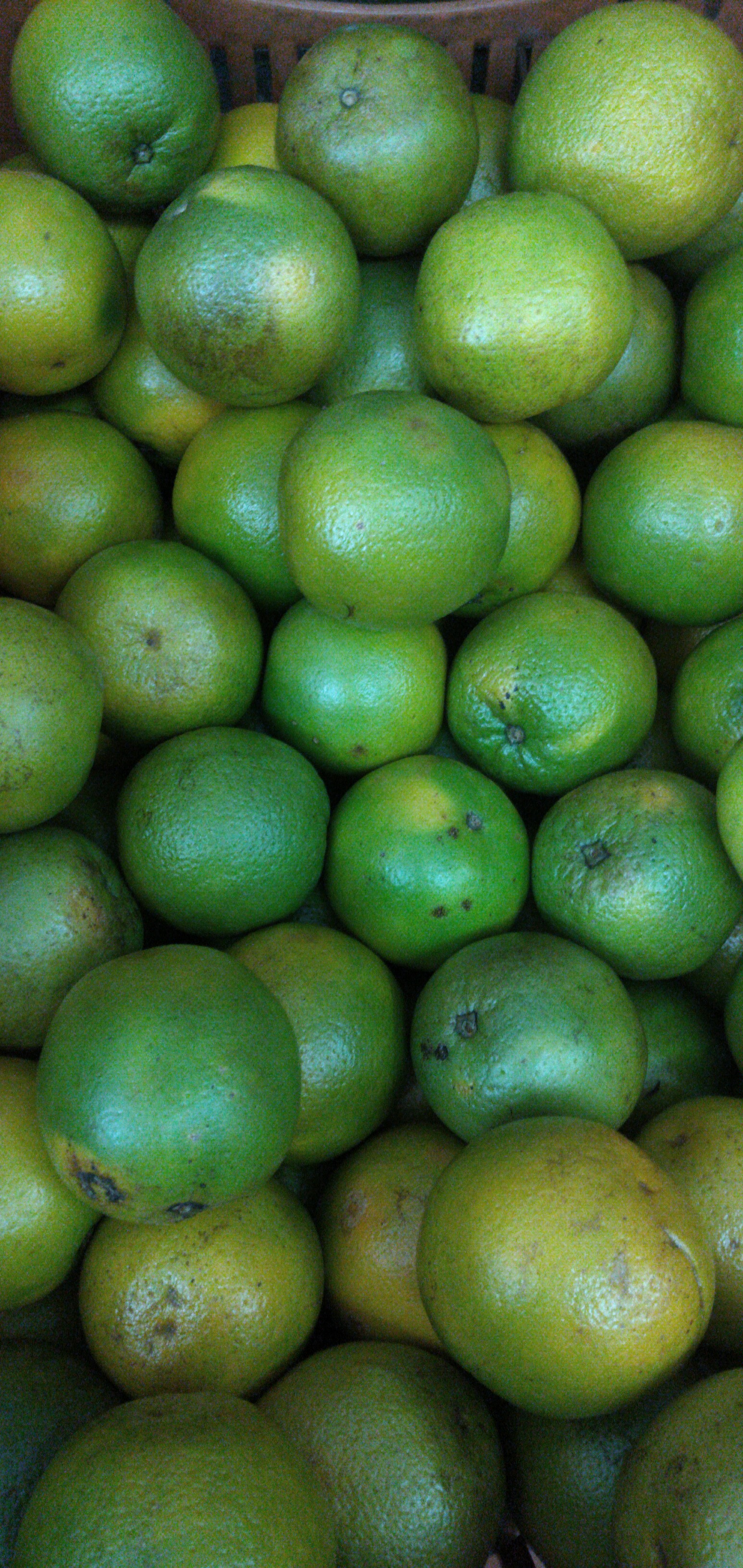 Naranja primera Valencia