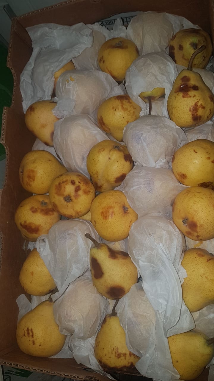 PERA IMPORTADA MADURA
