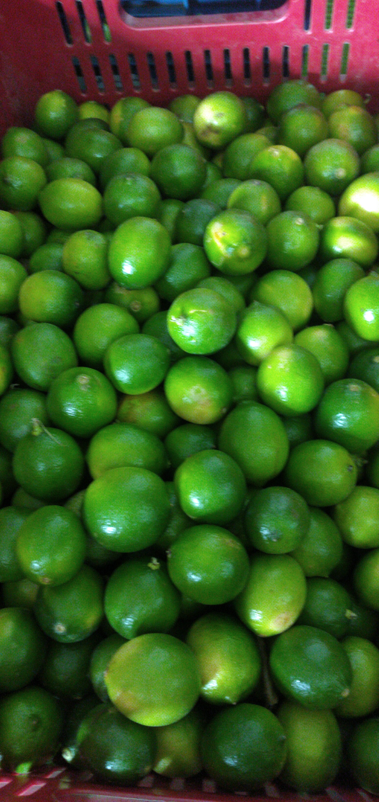 Limón Tahití segunda