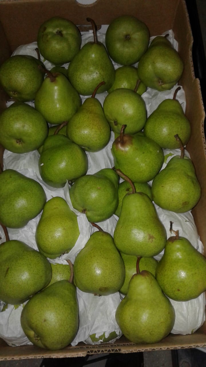 Pera