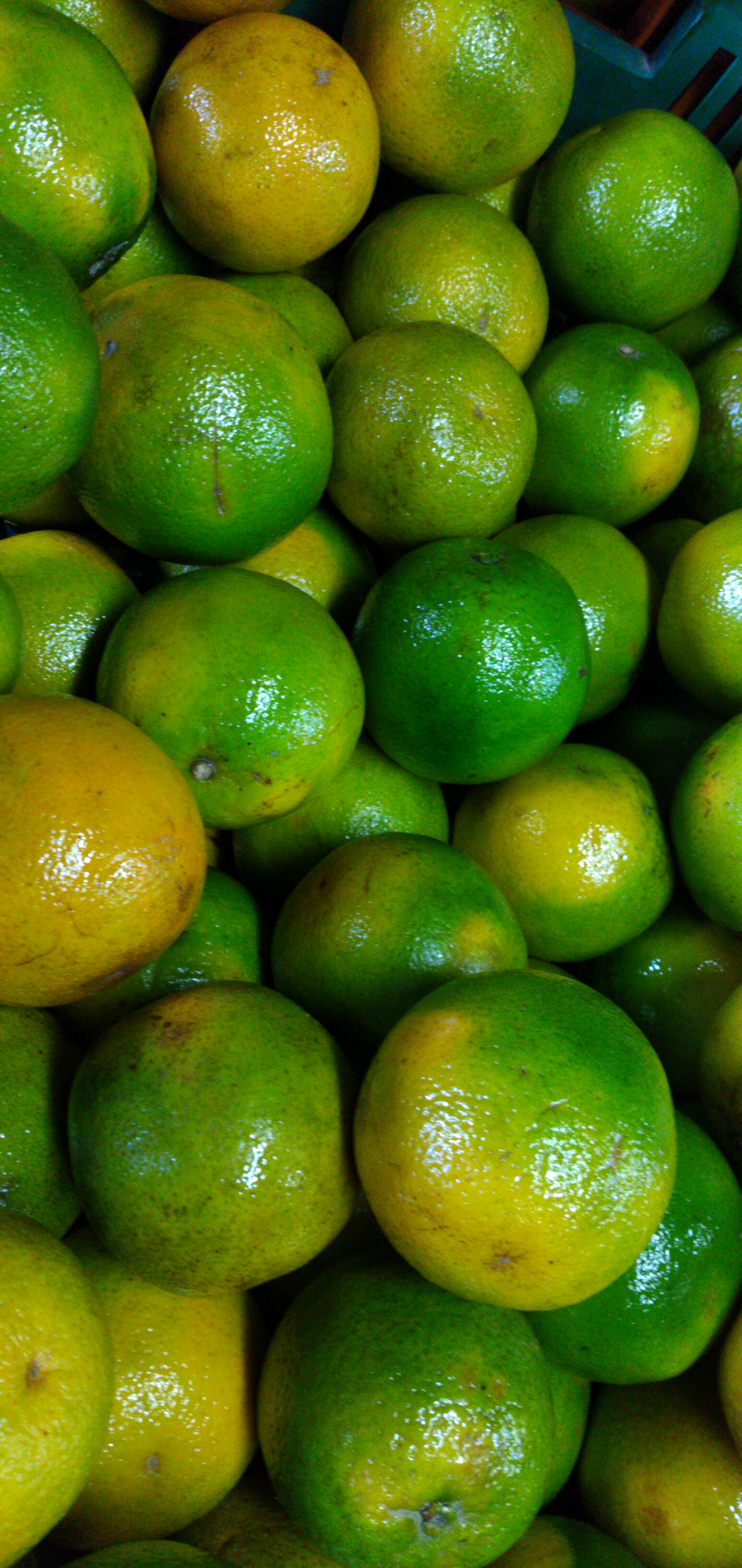 Naranja valencia primera