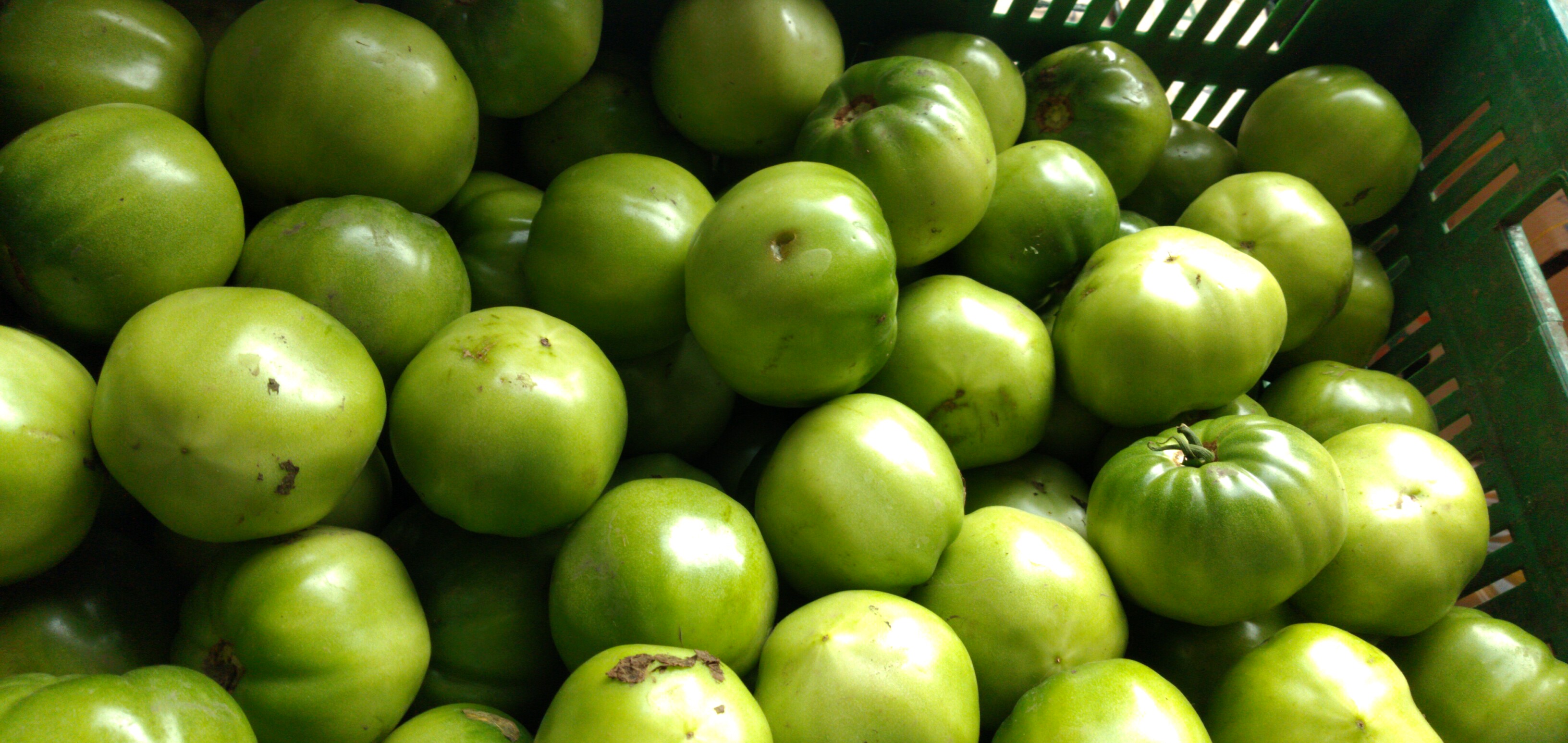 Tomate verde para ensalada